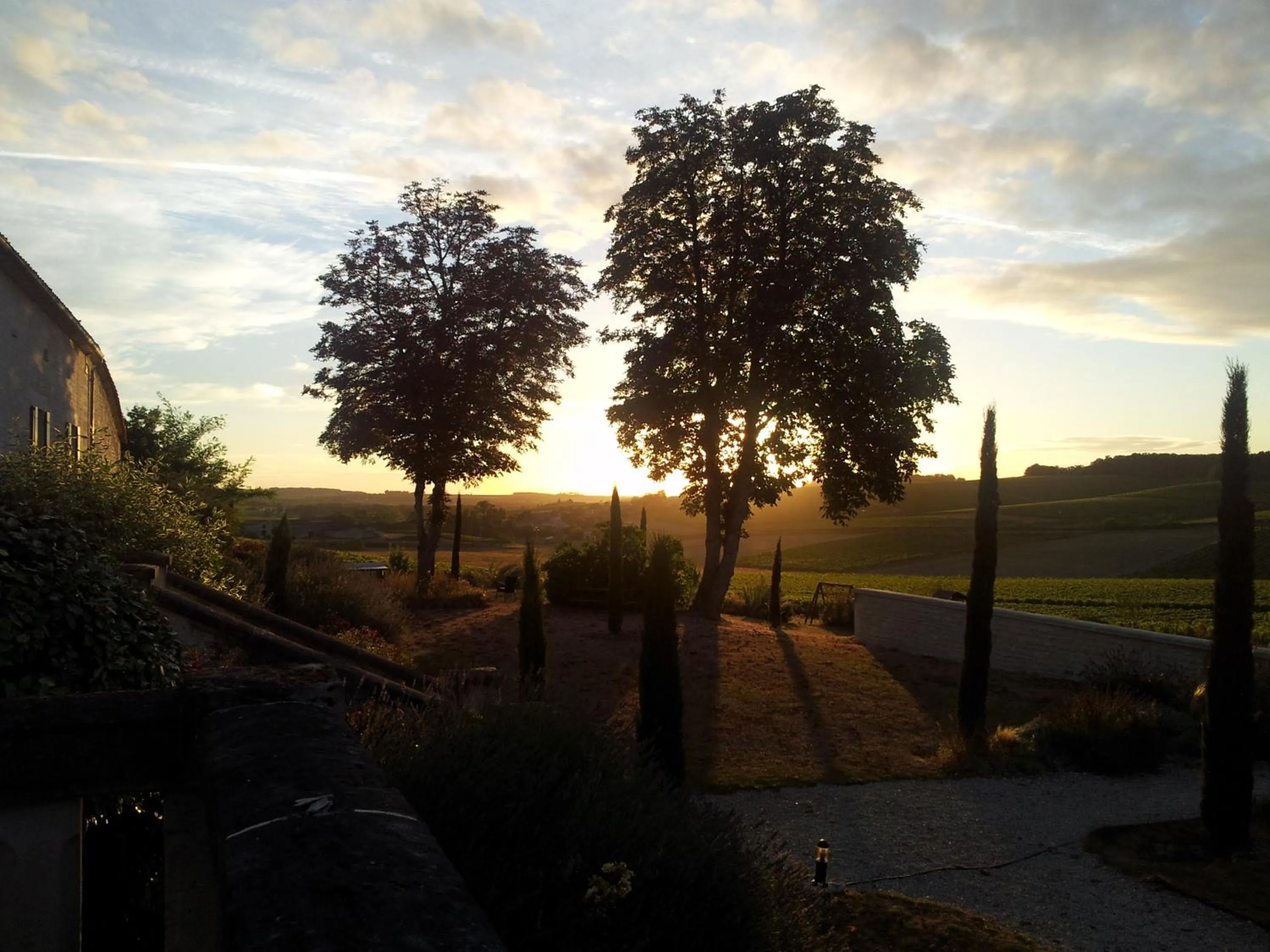 Natural landscape in Le Relais de Saint-Preuil, The Originals Relais Vignes du Cognac