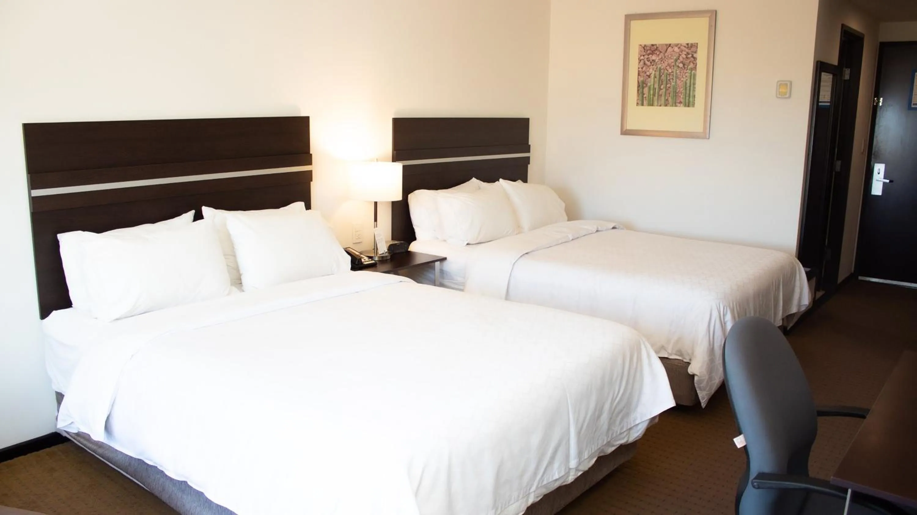 Photo of the whole room, Bed in Holiday Inn Express Guaymas by IHG