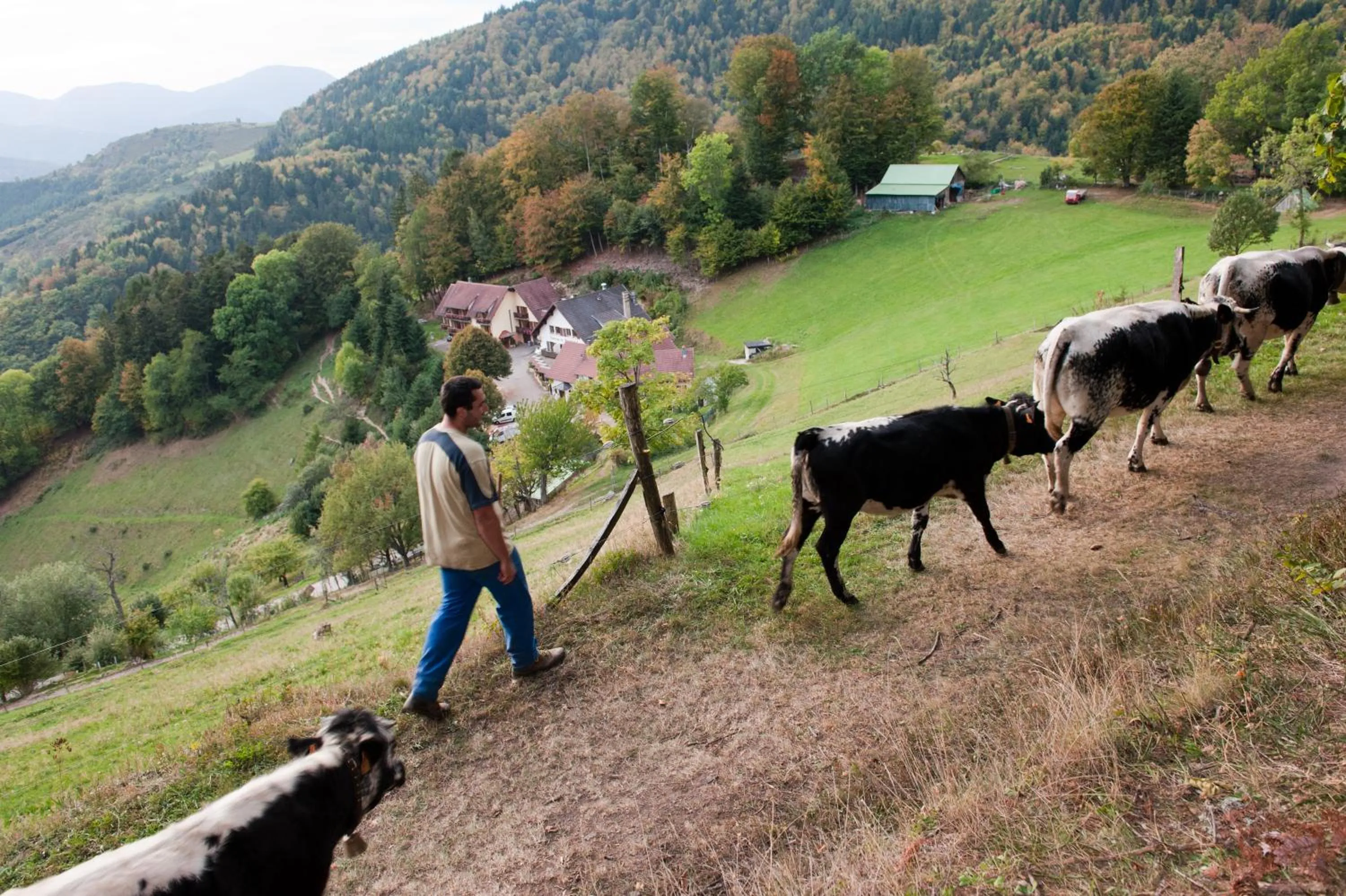 Hiking in Logis Auberge Du Mehrbachel - Hôtel & Restaurant