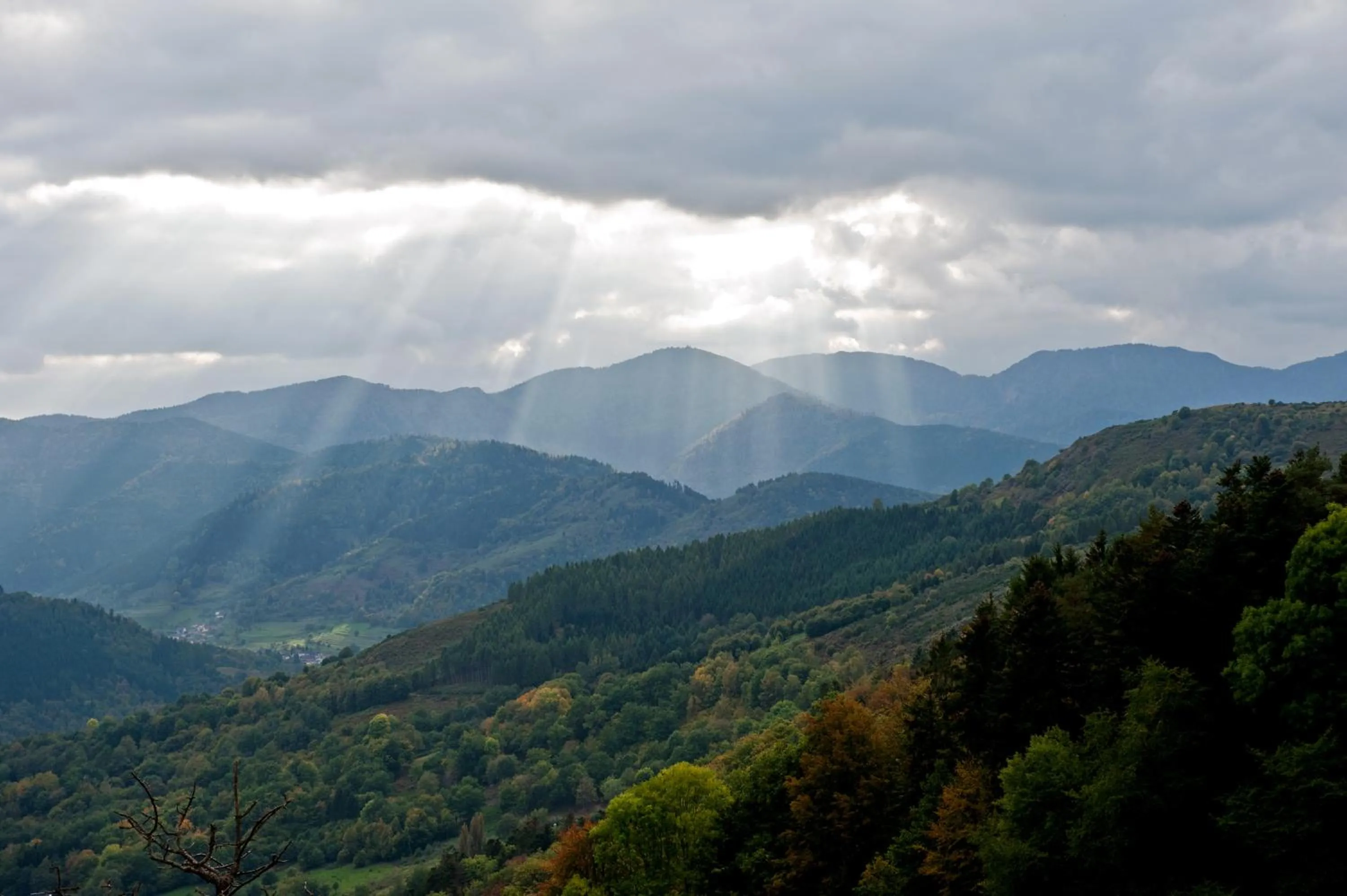 Cycling in Logis Auberge Du Mehrbachel - Hôtel & Restaurant