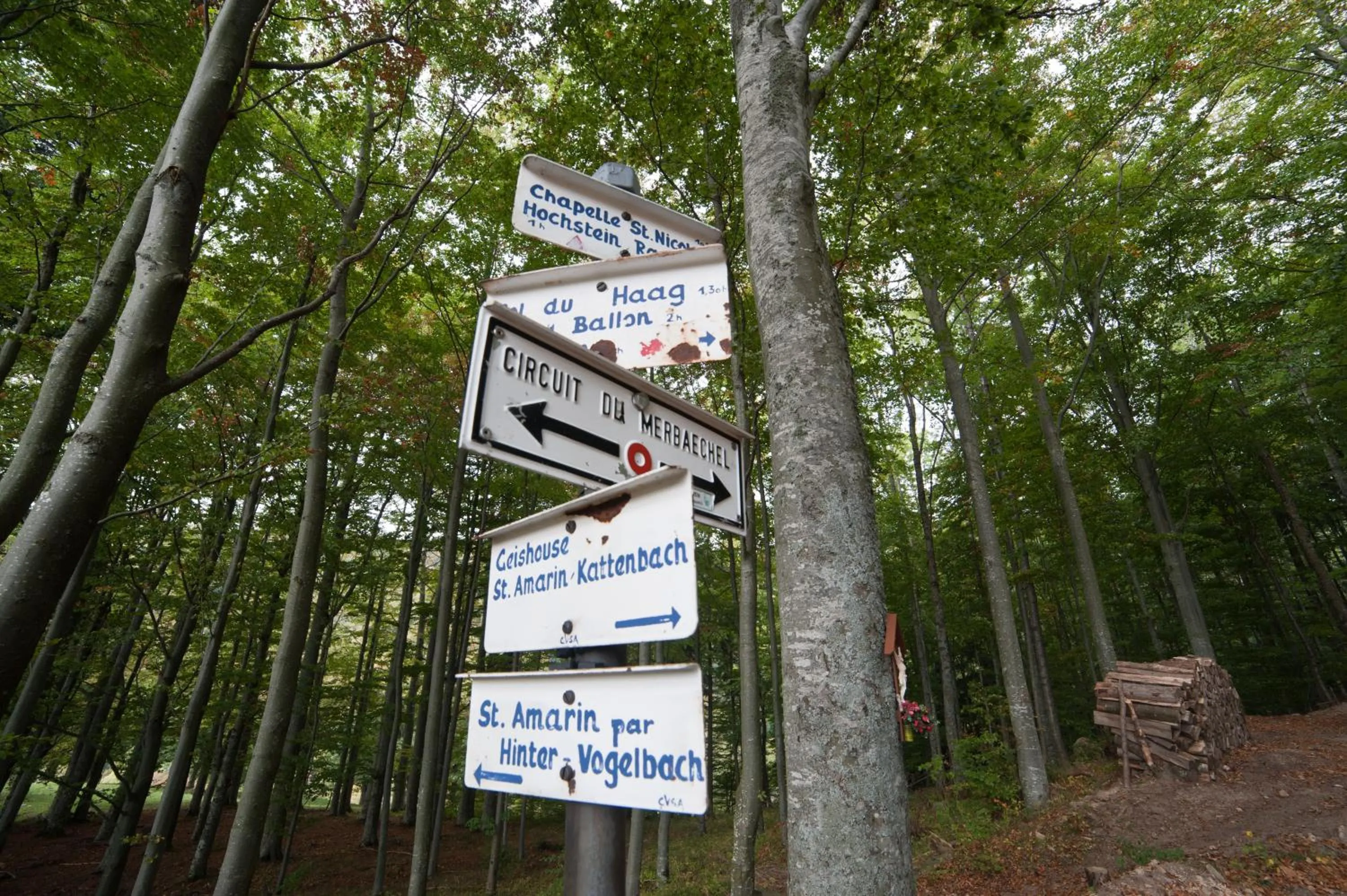 Hiking in Logis Auberge Du Mehrbachel - Hôtel & Restaurant