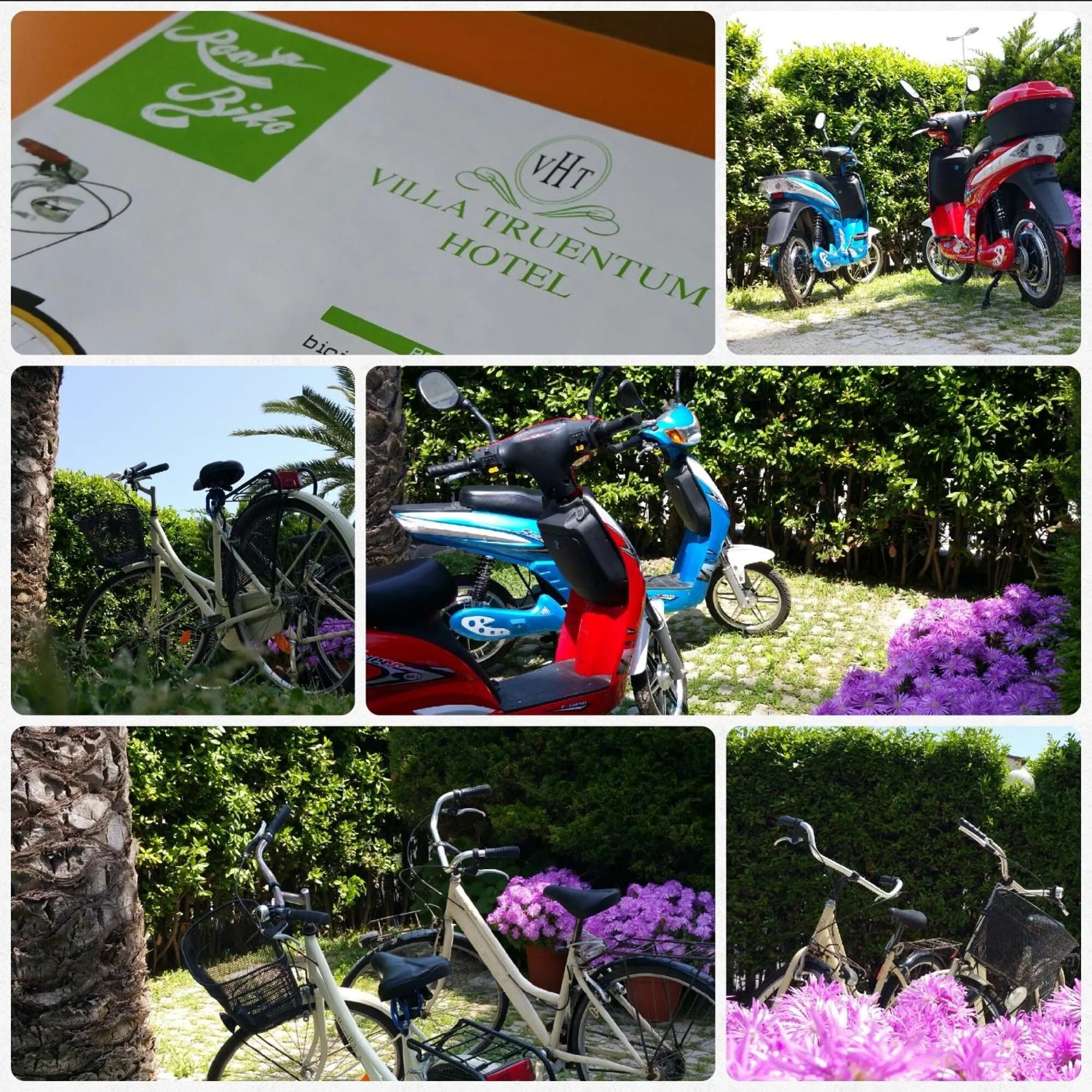 Activities in Hotel Villa Truentum