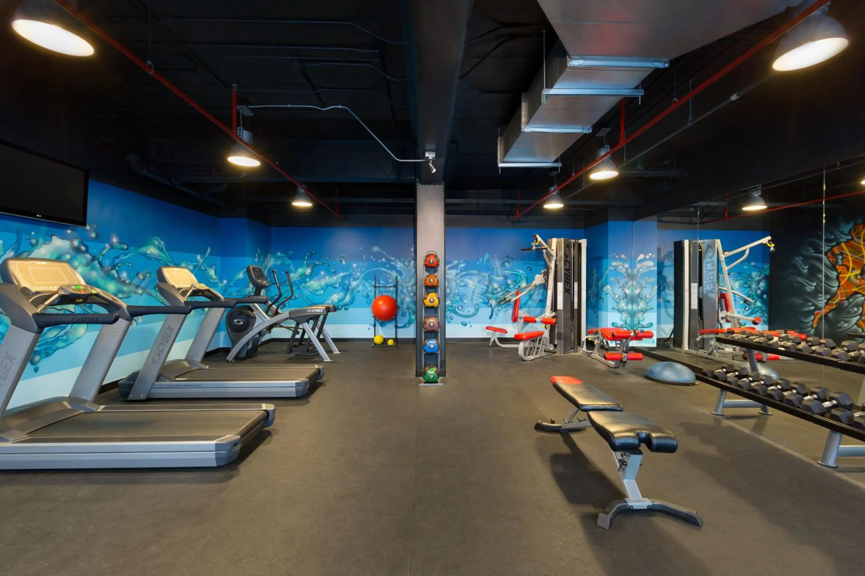 Fitness centre/facilities in D Sabana Hotel San José