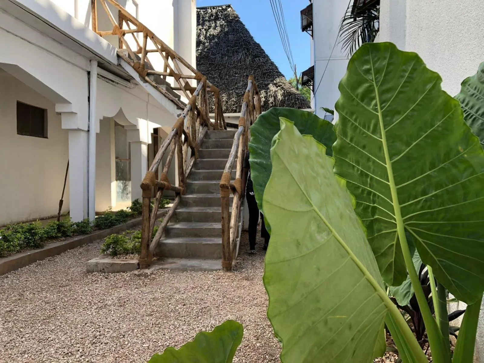 Property building in Nungwi Getaway