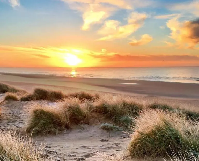 Natural landscape in Hotel Curracloe
