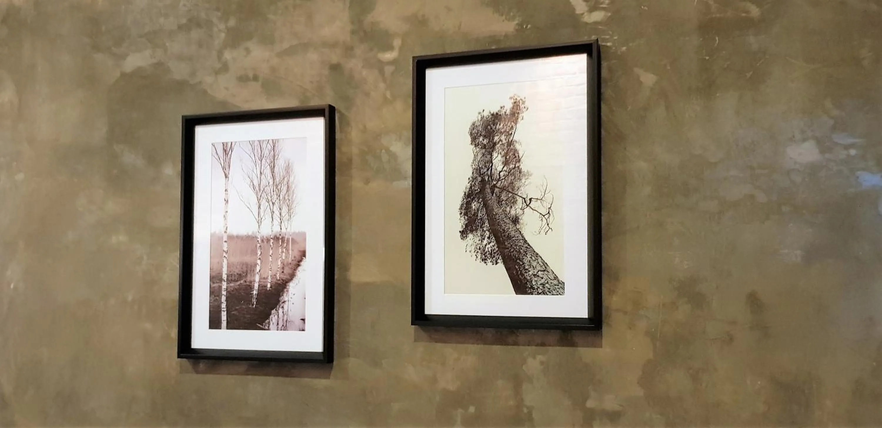 Certificate/Award in The Barn Hua Hin