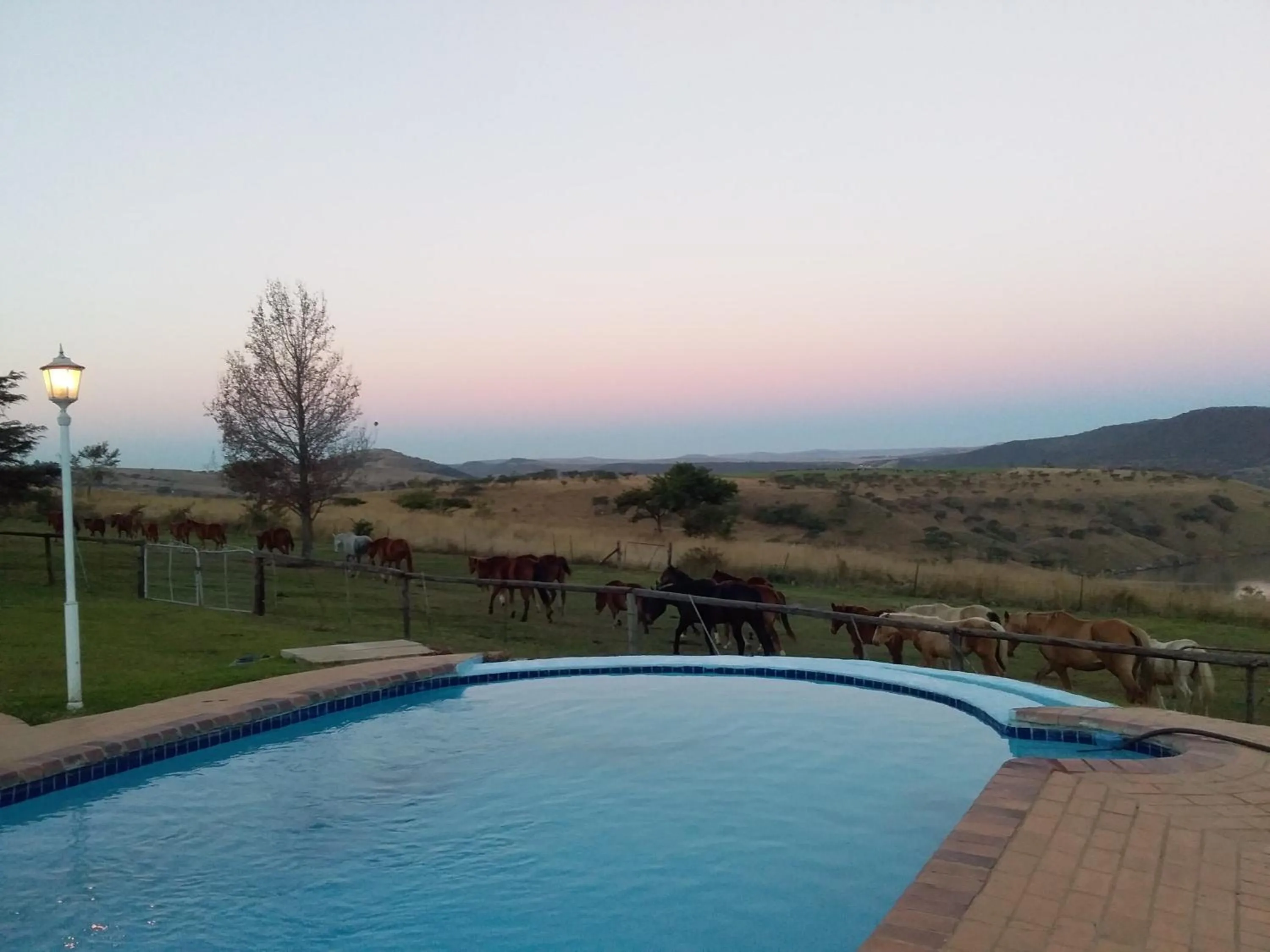 Mountain view in Blue Haze Country Lodge