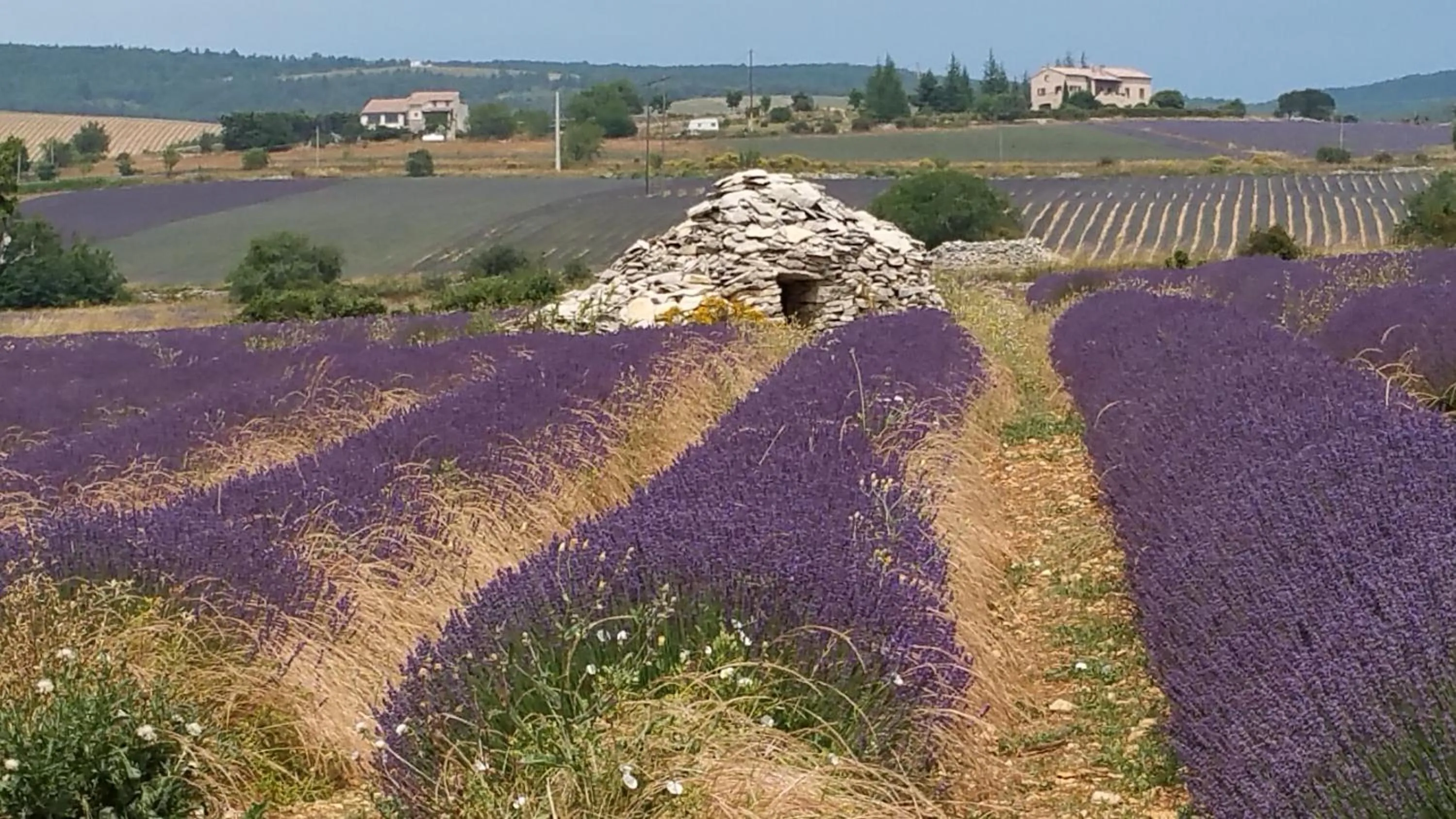 Nearby landmark in Les Arcades Le Lion D'or