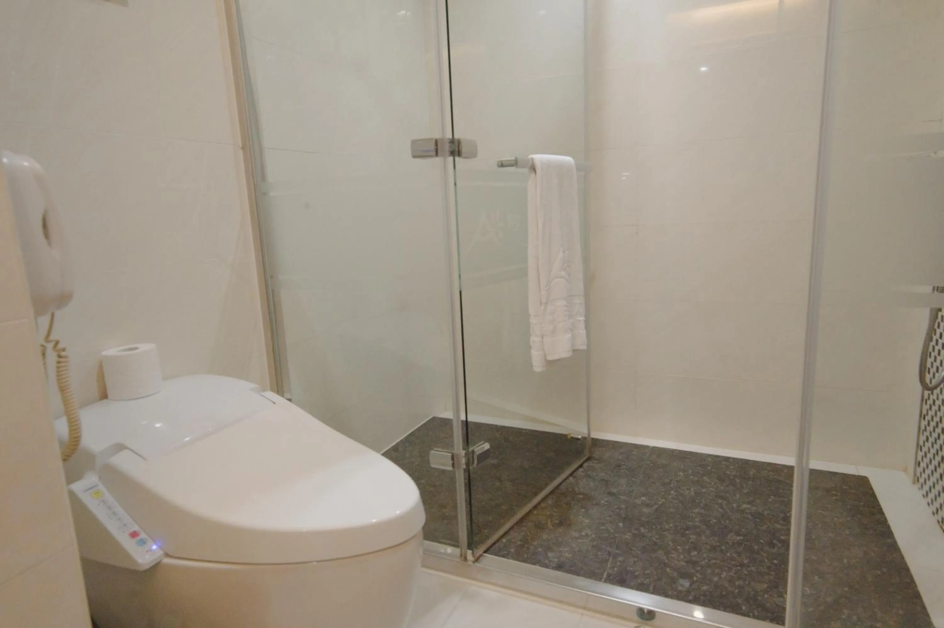 Toilet in Arsma Hotel