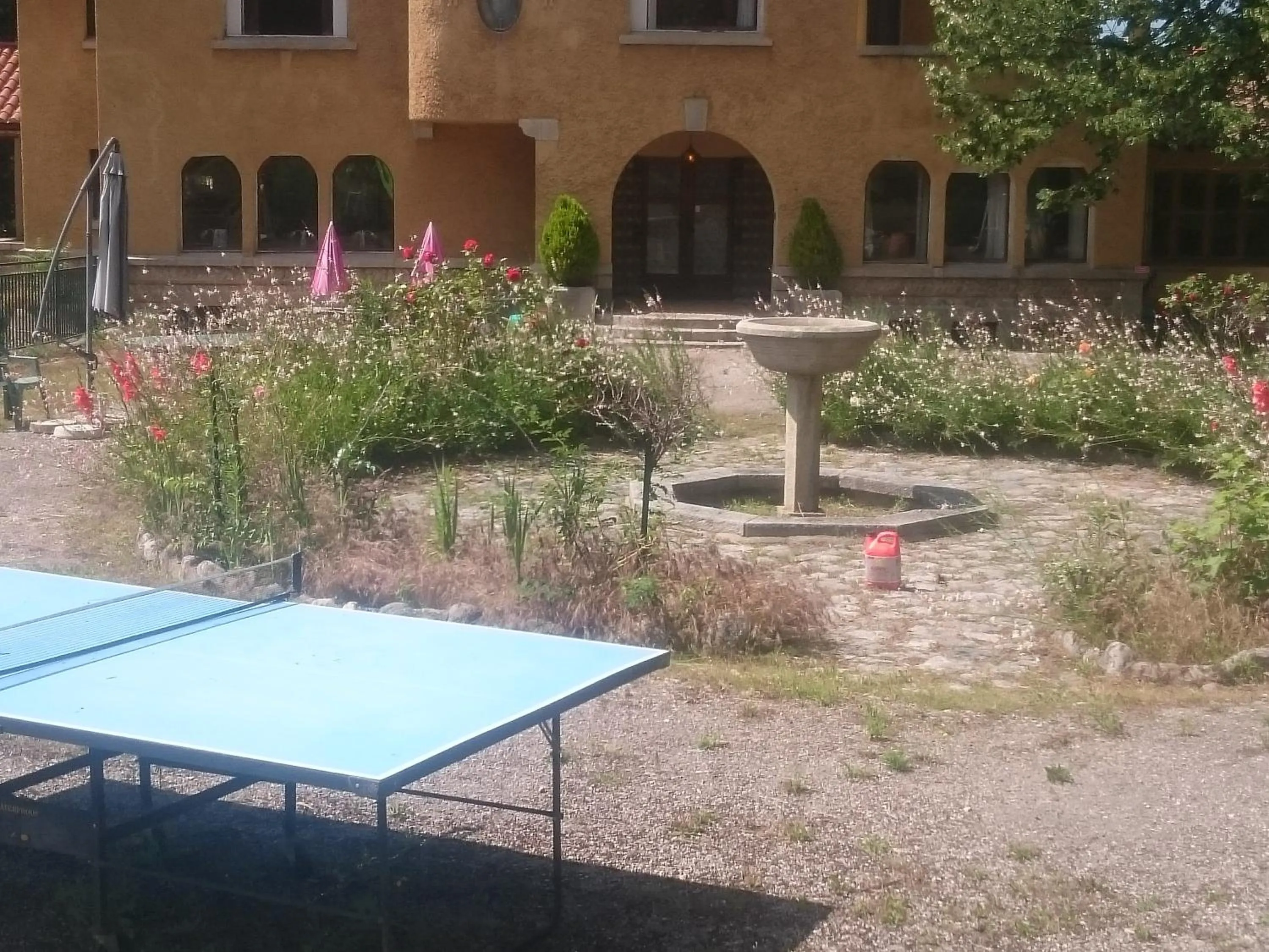 Garden in Hotel Le Mas Fleuri