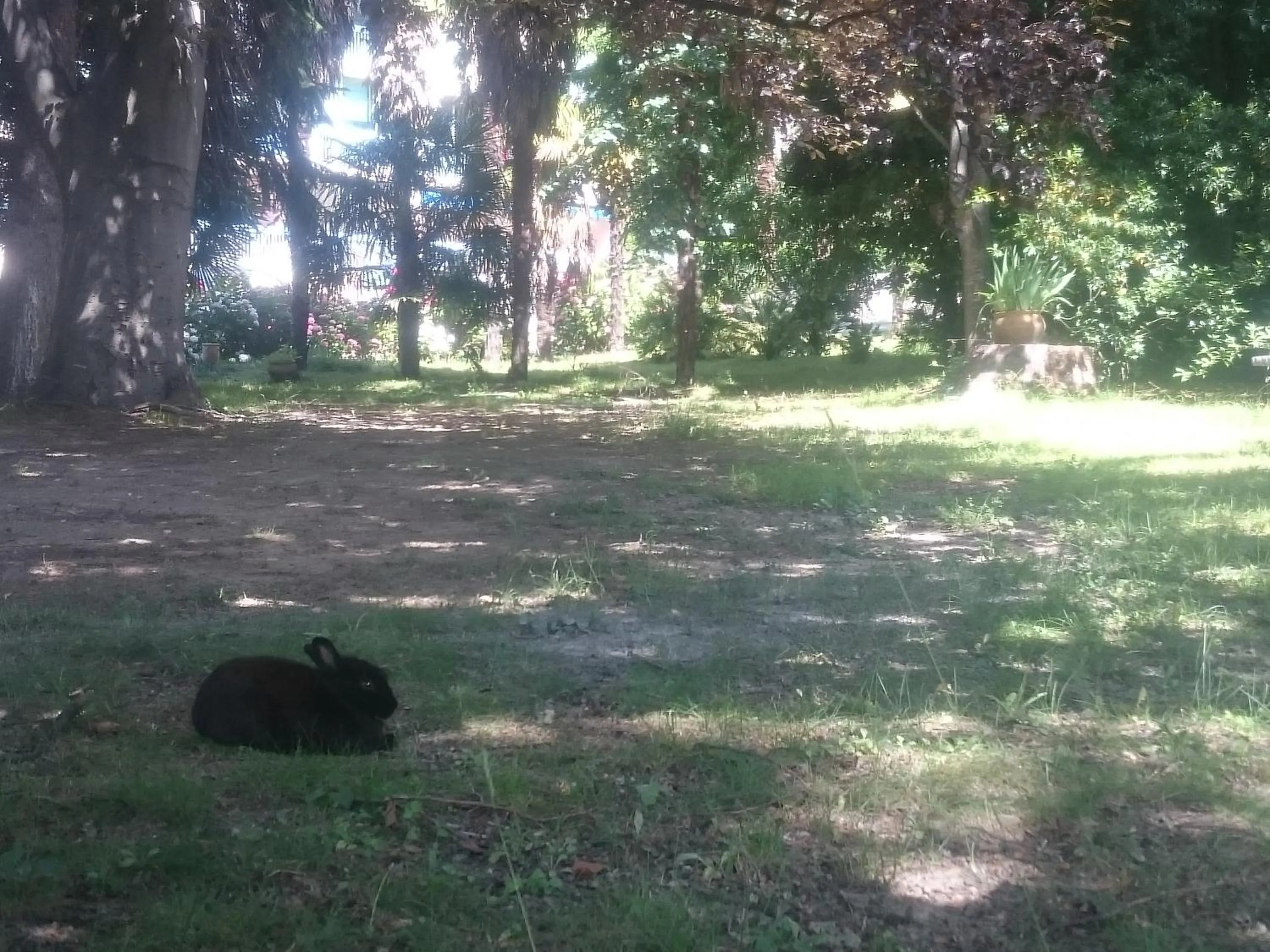 Garden in Hotel Le Mas Fleuri