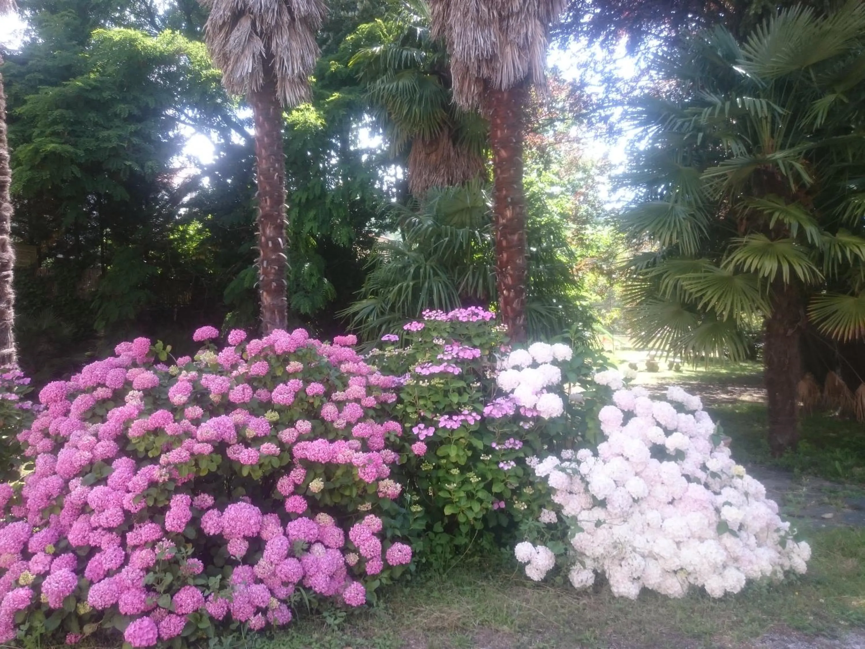 Garden in Hotel Le Mas Fleuri