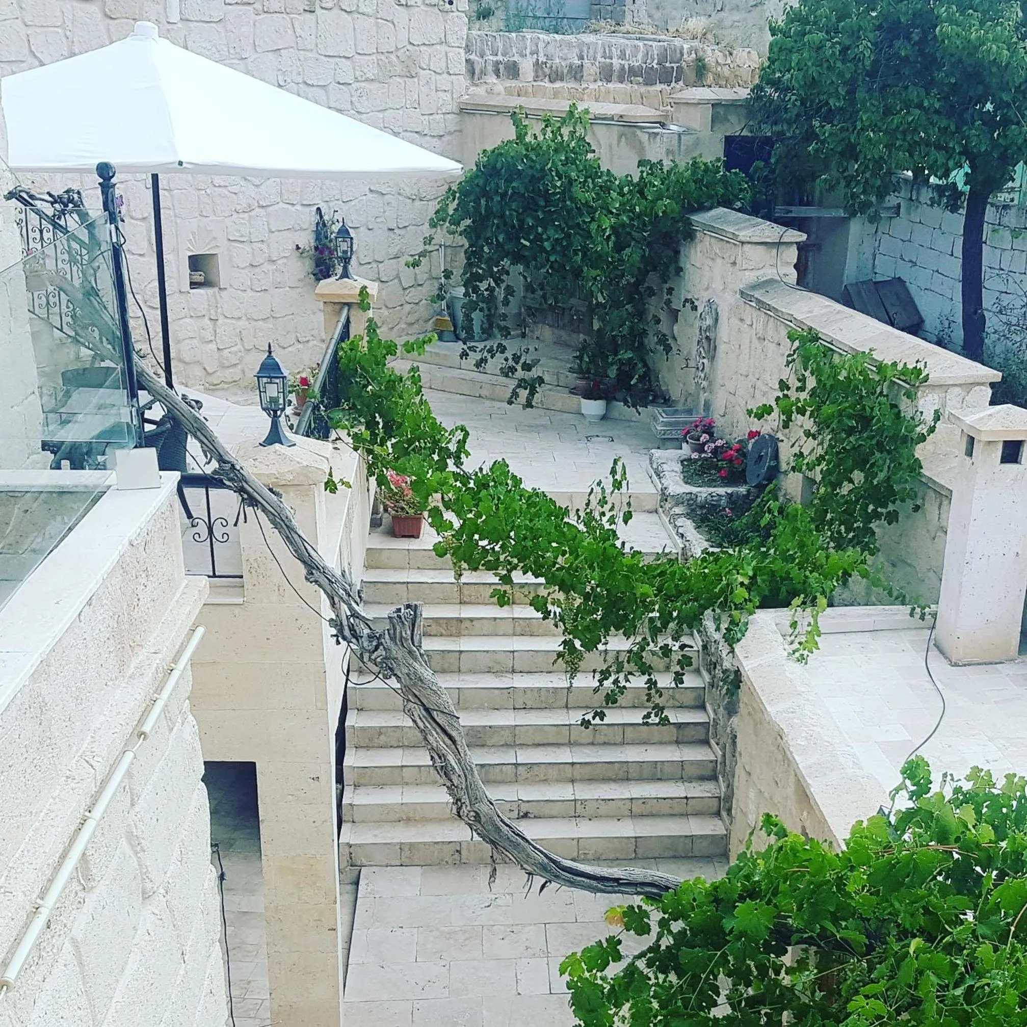Garden view in Iris Cave Cappadocia