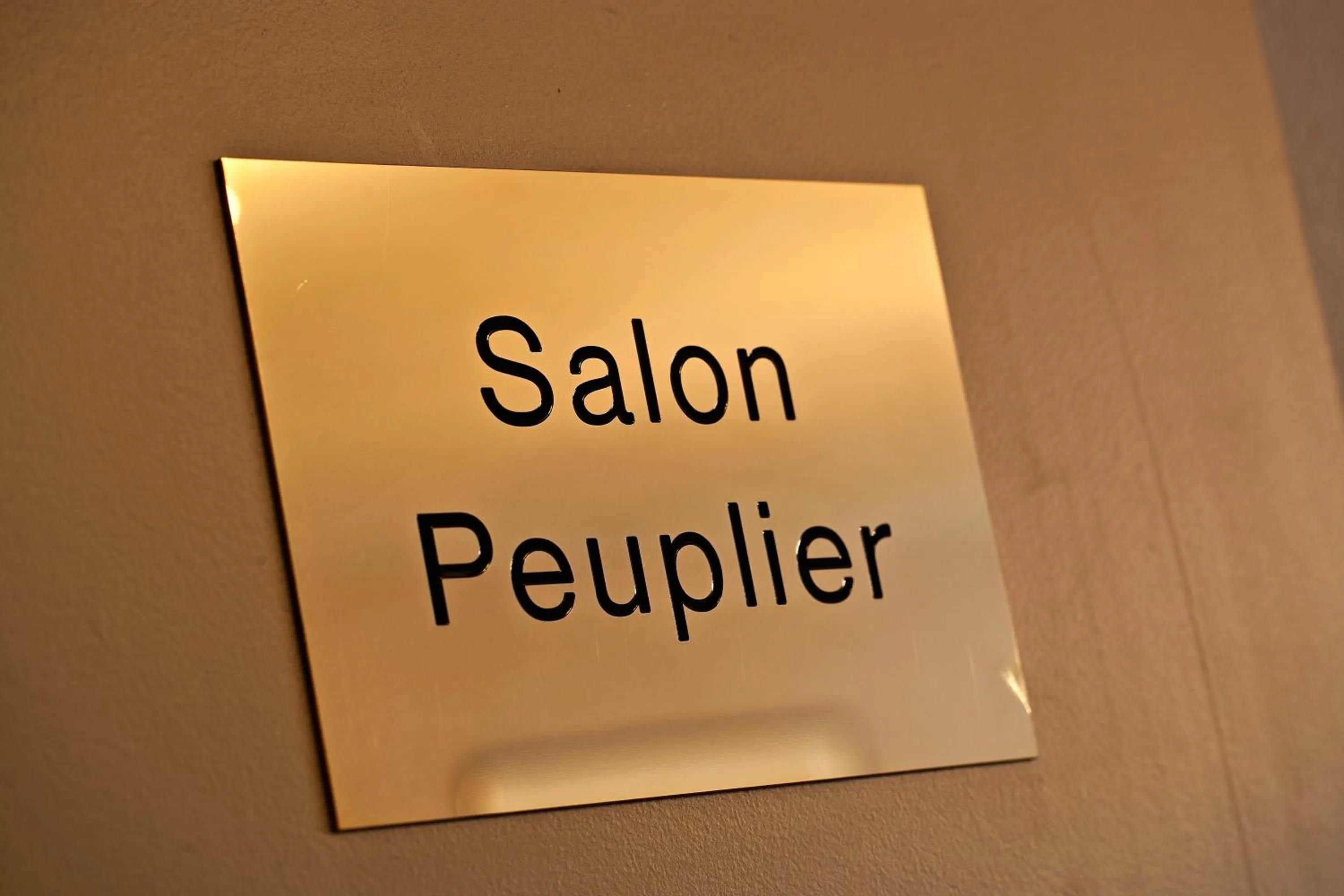 Banquet/Function facilities in Logis Cottage Hotel