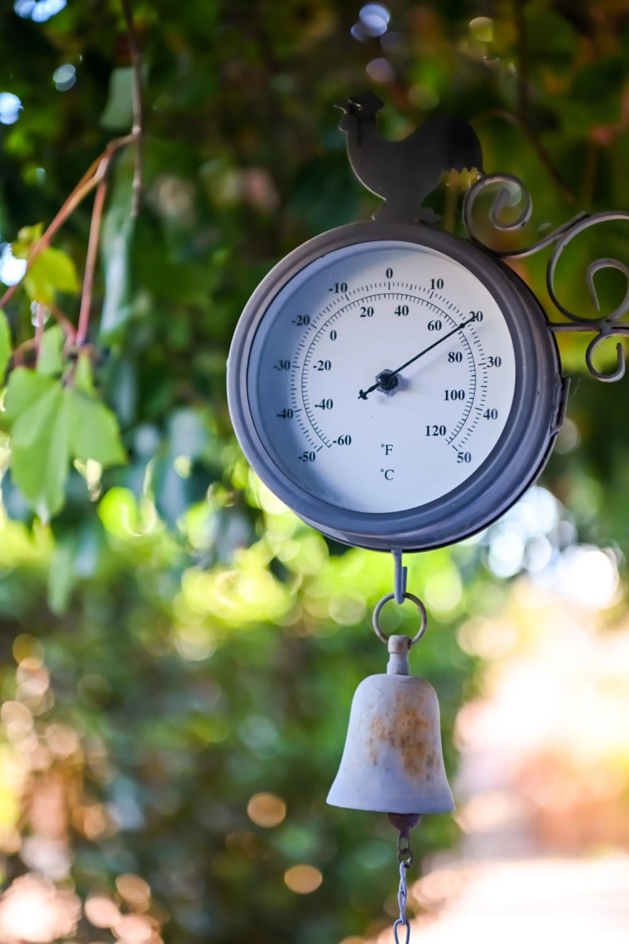 Garden in A Serenada Enoturismo