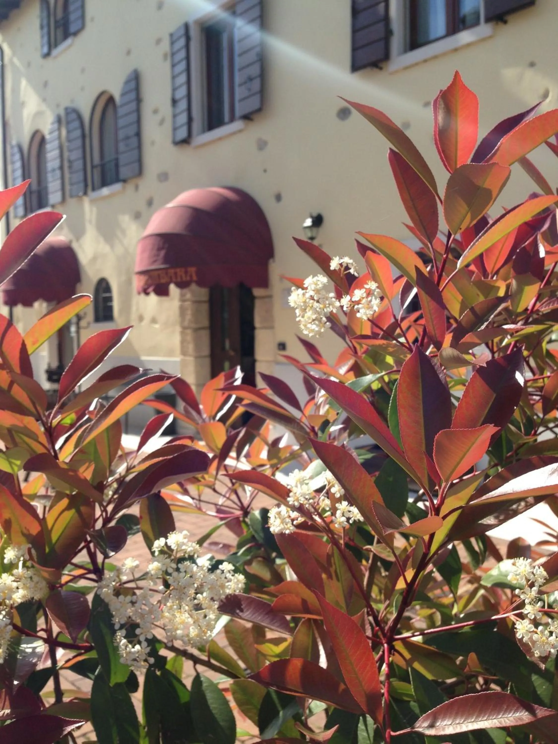Facade/entrance in Apartments Colombara Bardolino