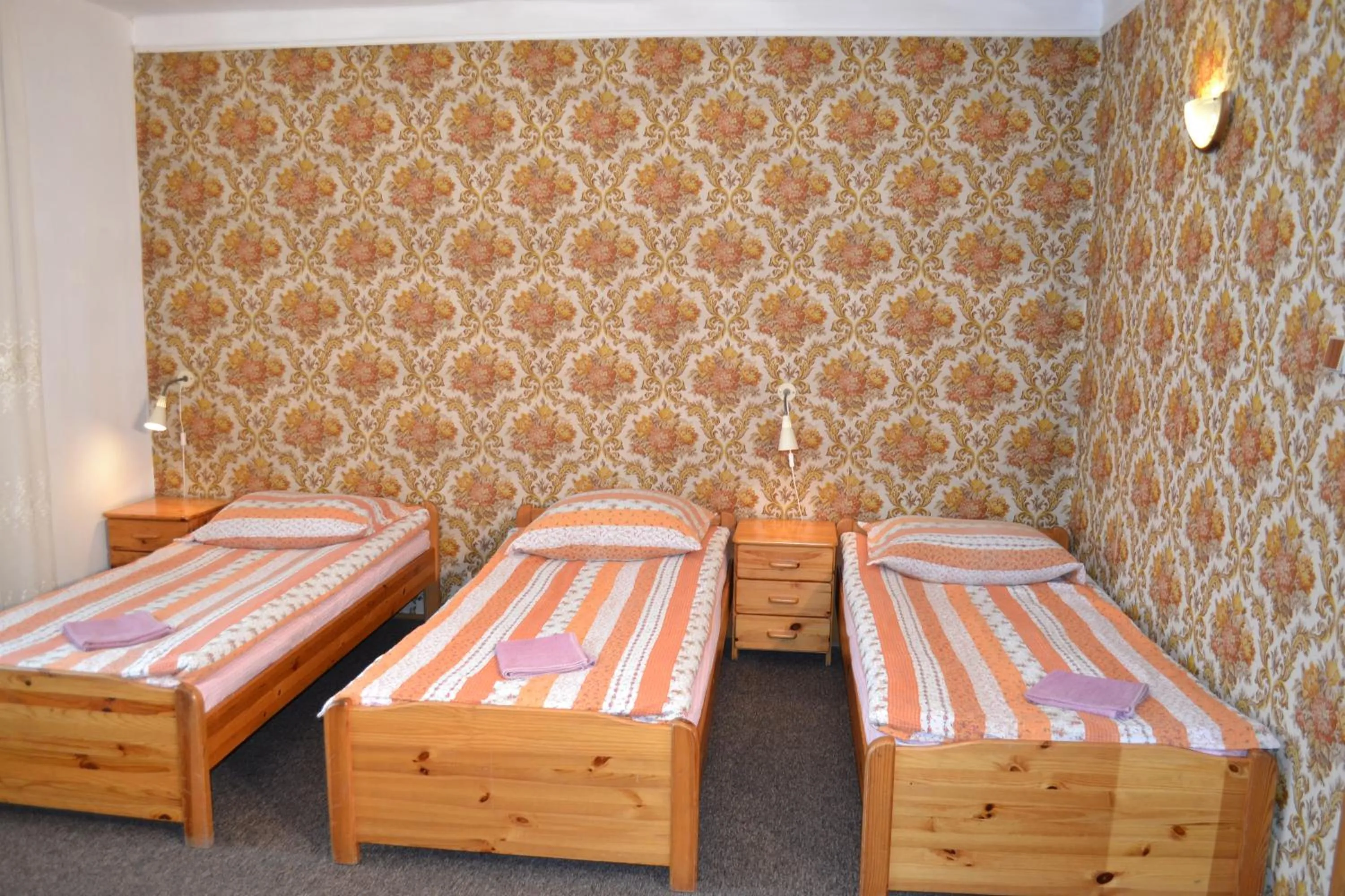 Photo of the whole room, Bed in Zajazd Irina
