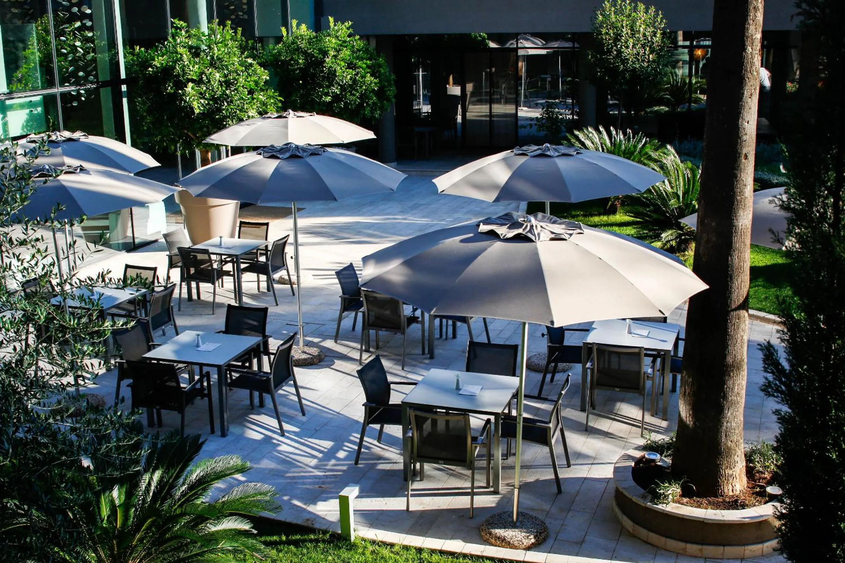 Lounge or bar in Palmon Bay Hotel & Spa