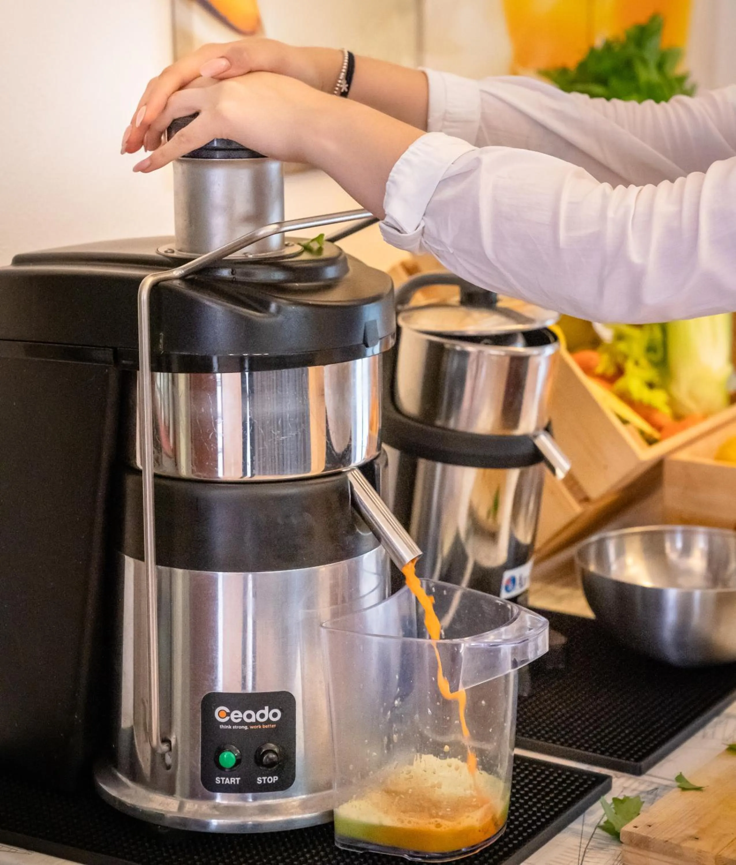 Food and drinks in Hotel Itta