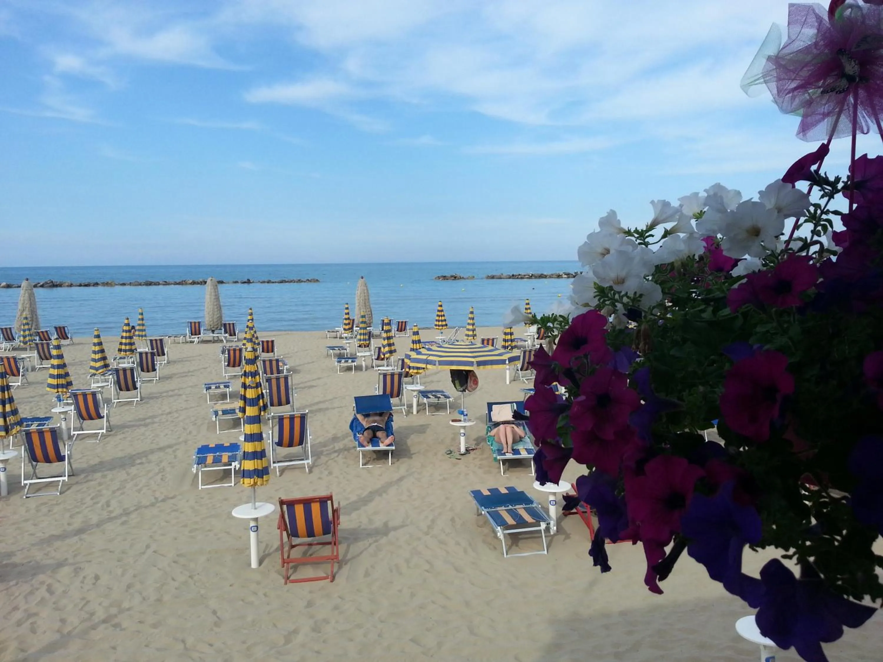 Day in Hotel Nel Pineto