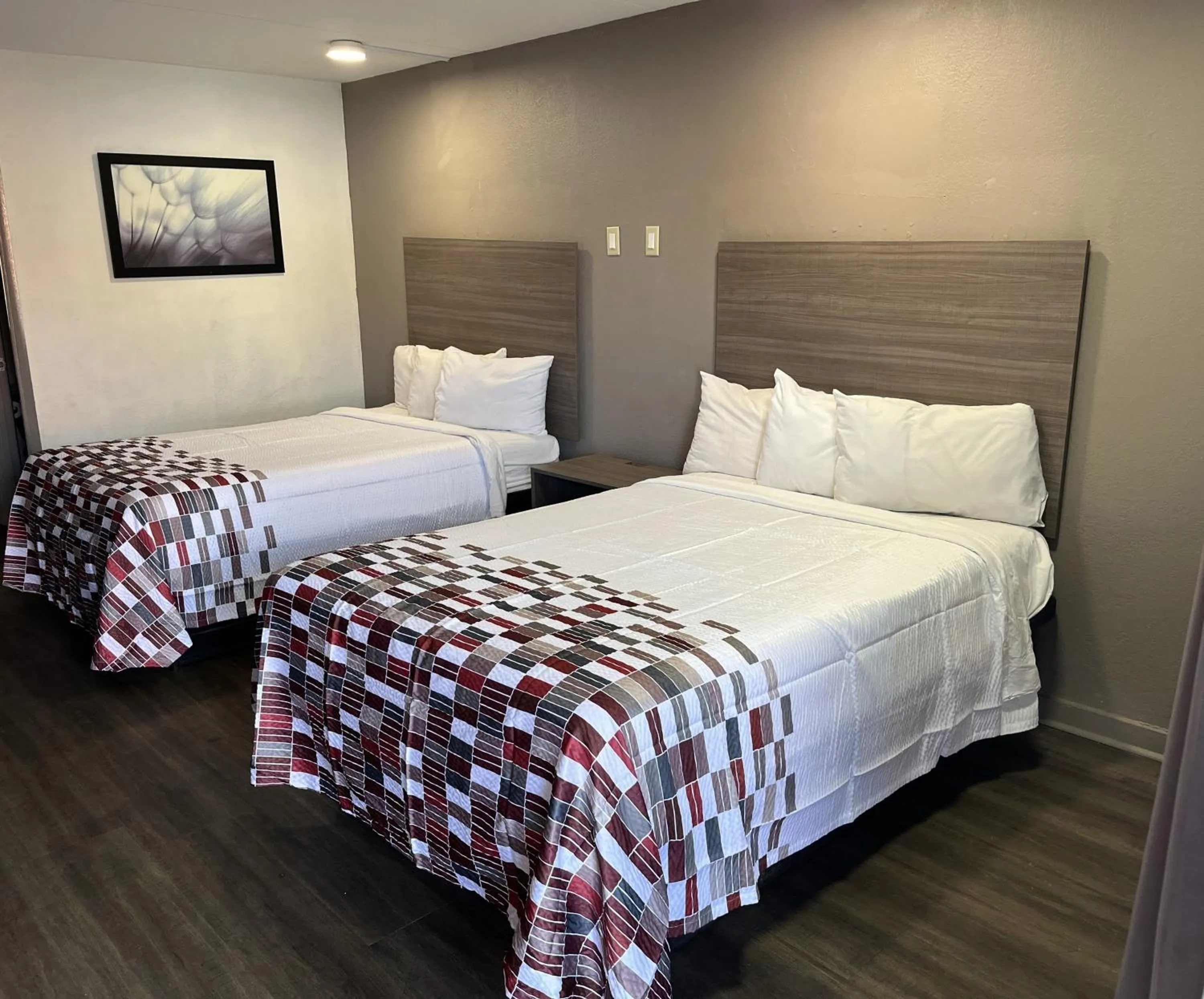 Bedroom, Bed in Red Roof Inn Greenville, NC