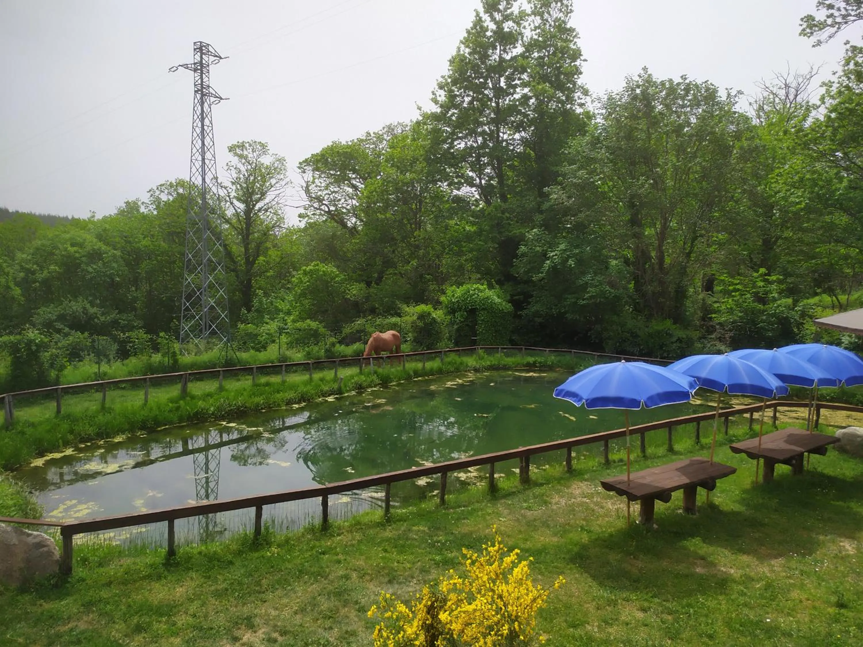 Natural landscape in B&B Francesca