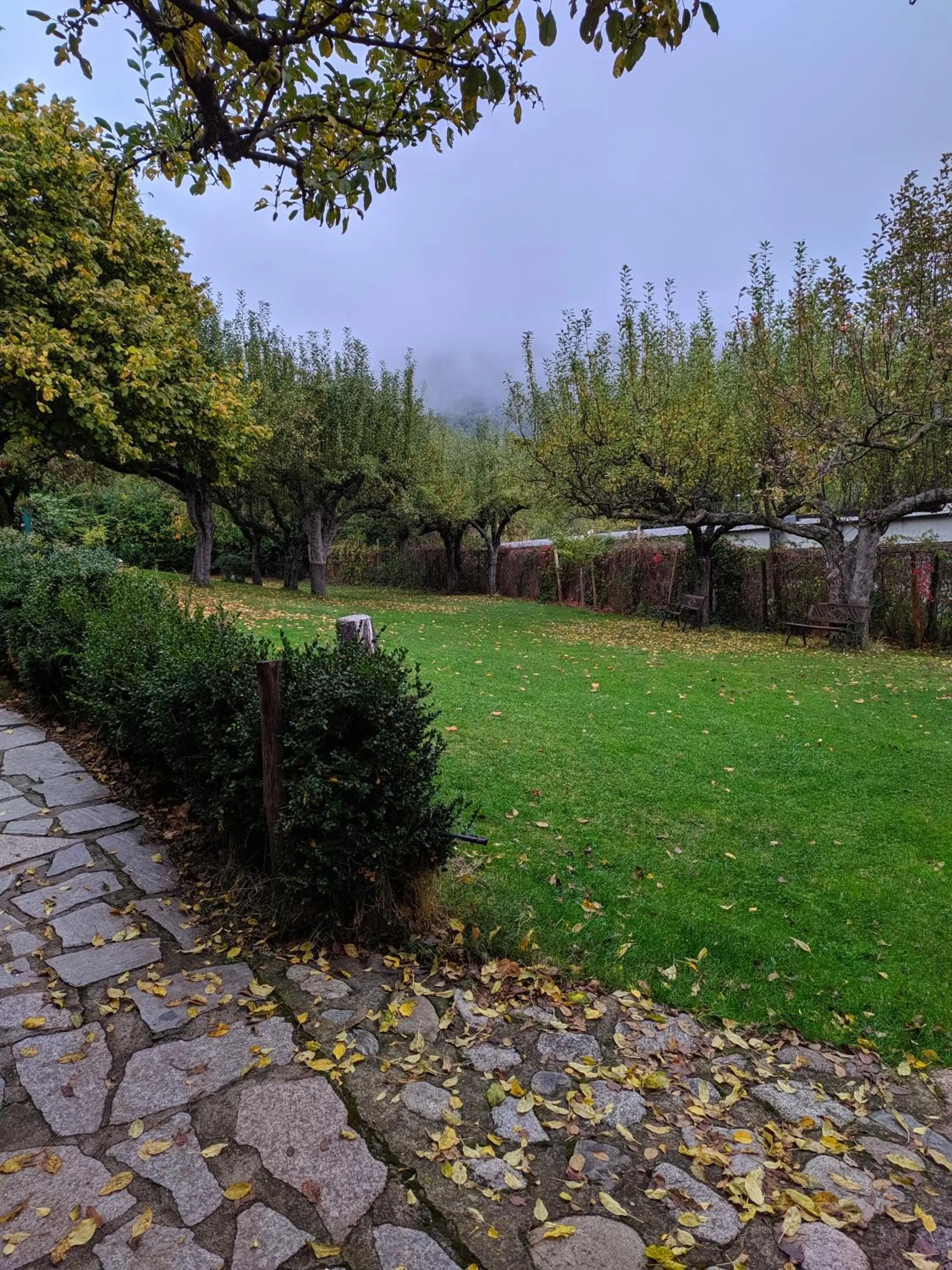 Natural landscape in B&B Francesca