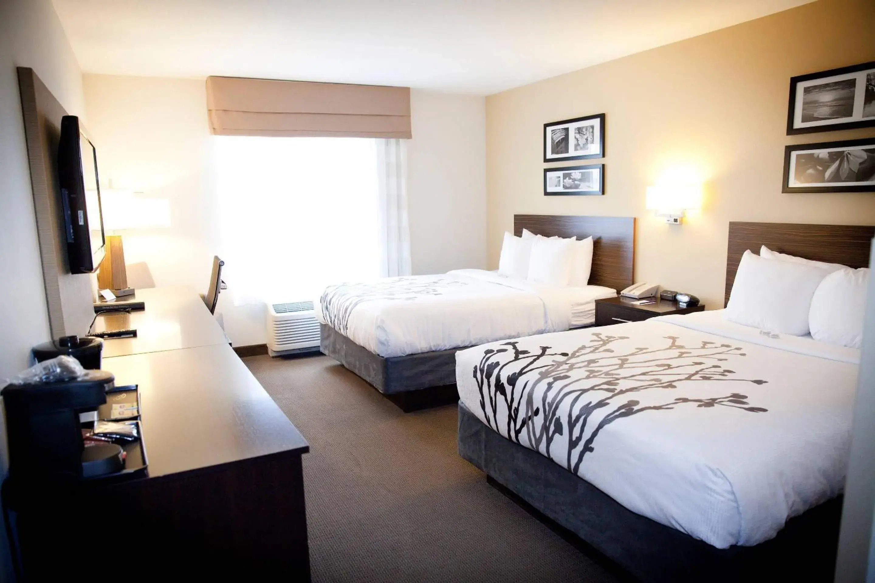 Queen Room with Two Queen Beds - Accessible/Non-Smoking in Sleep Inn & Suites Moundsville - Wheeling Queen Room with Two Queen Beds - Accessible/Non-Smoking in Sleep Inn & Suites Moundsville - Wheeling