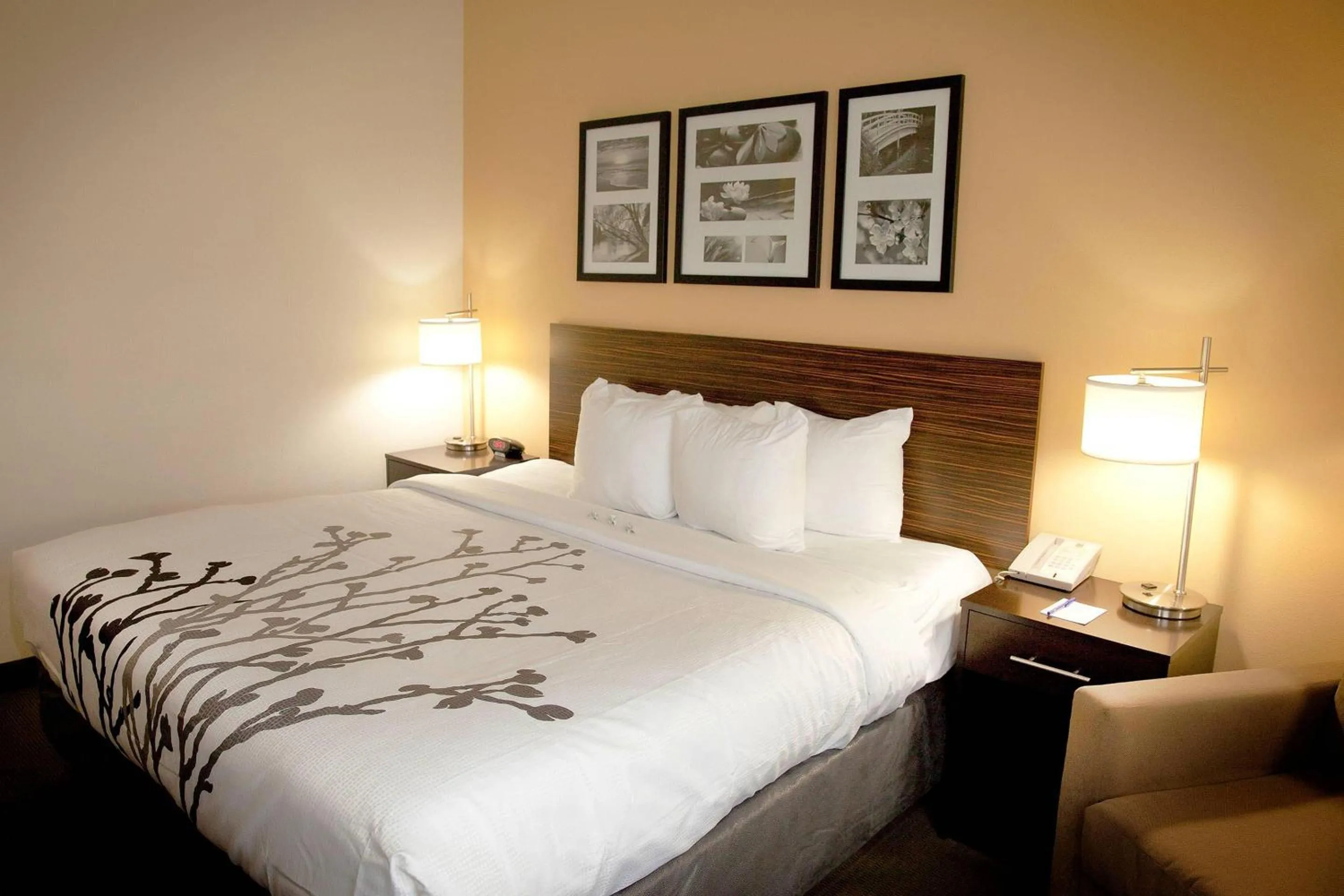 Bedroom, Bed in Sleep Inn & Suites Moundsville - Wheeling