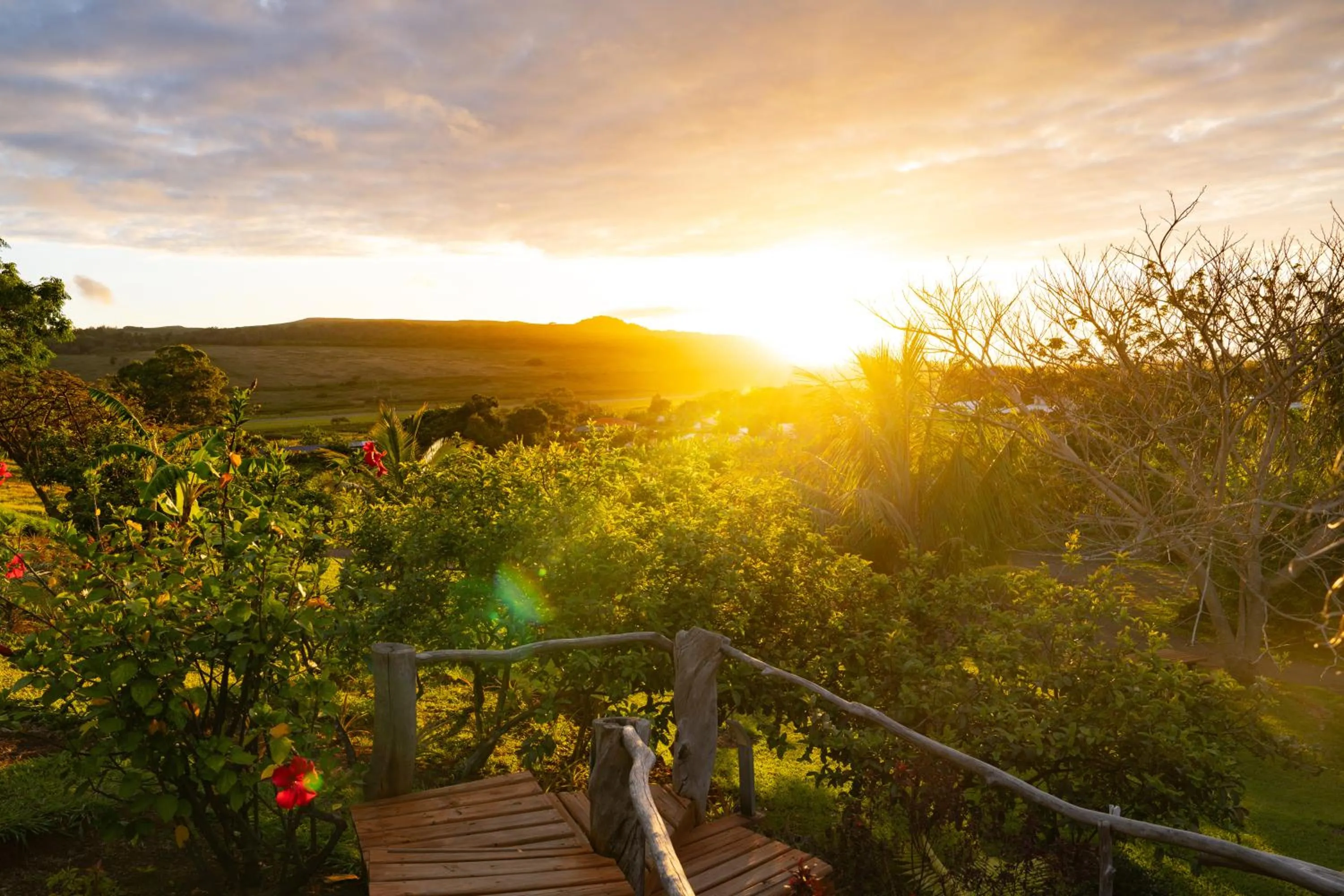 Garden view in Hotel Hare Uta
