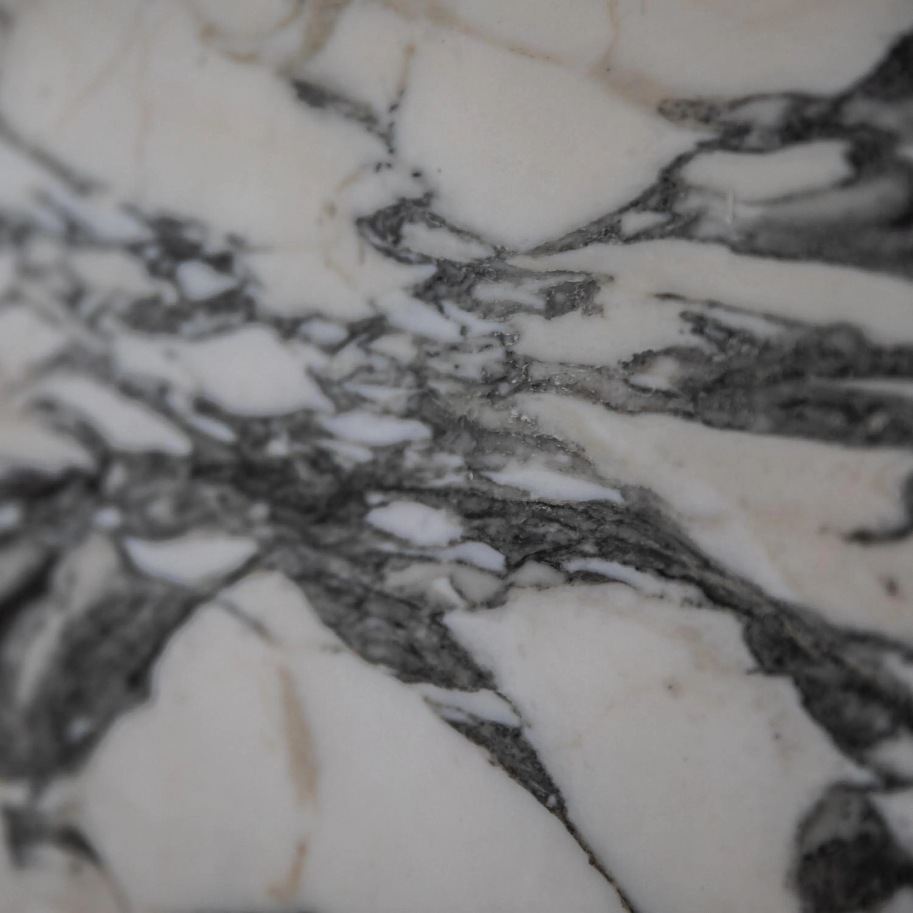 Casa Ixaya by Barrio México