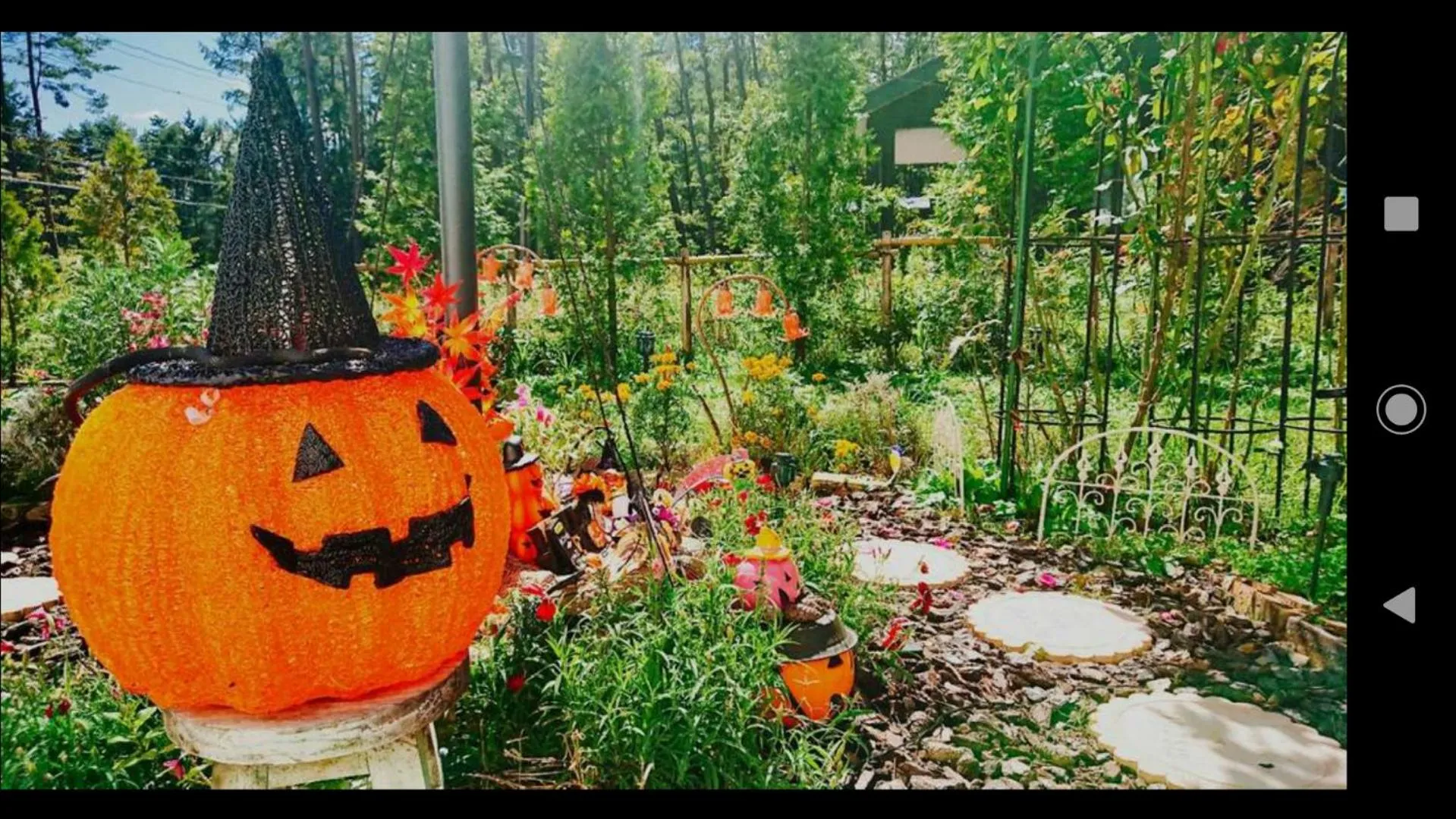 Garden in Kakureyado Fujikawaguchiko