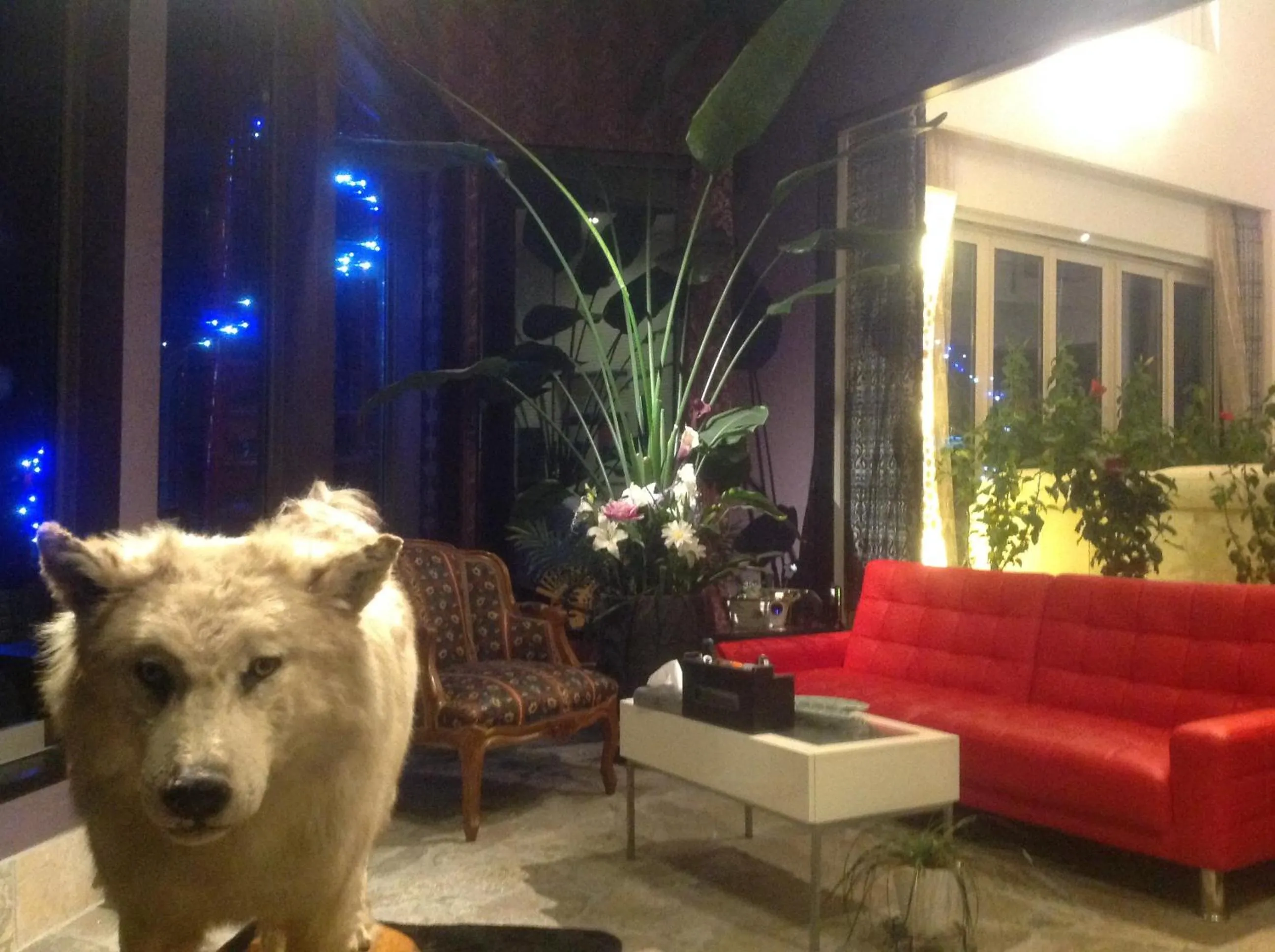 Kakureyado Fujikawaguchiko