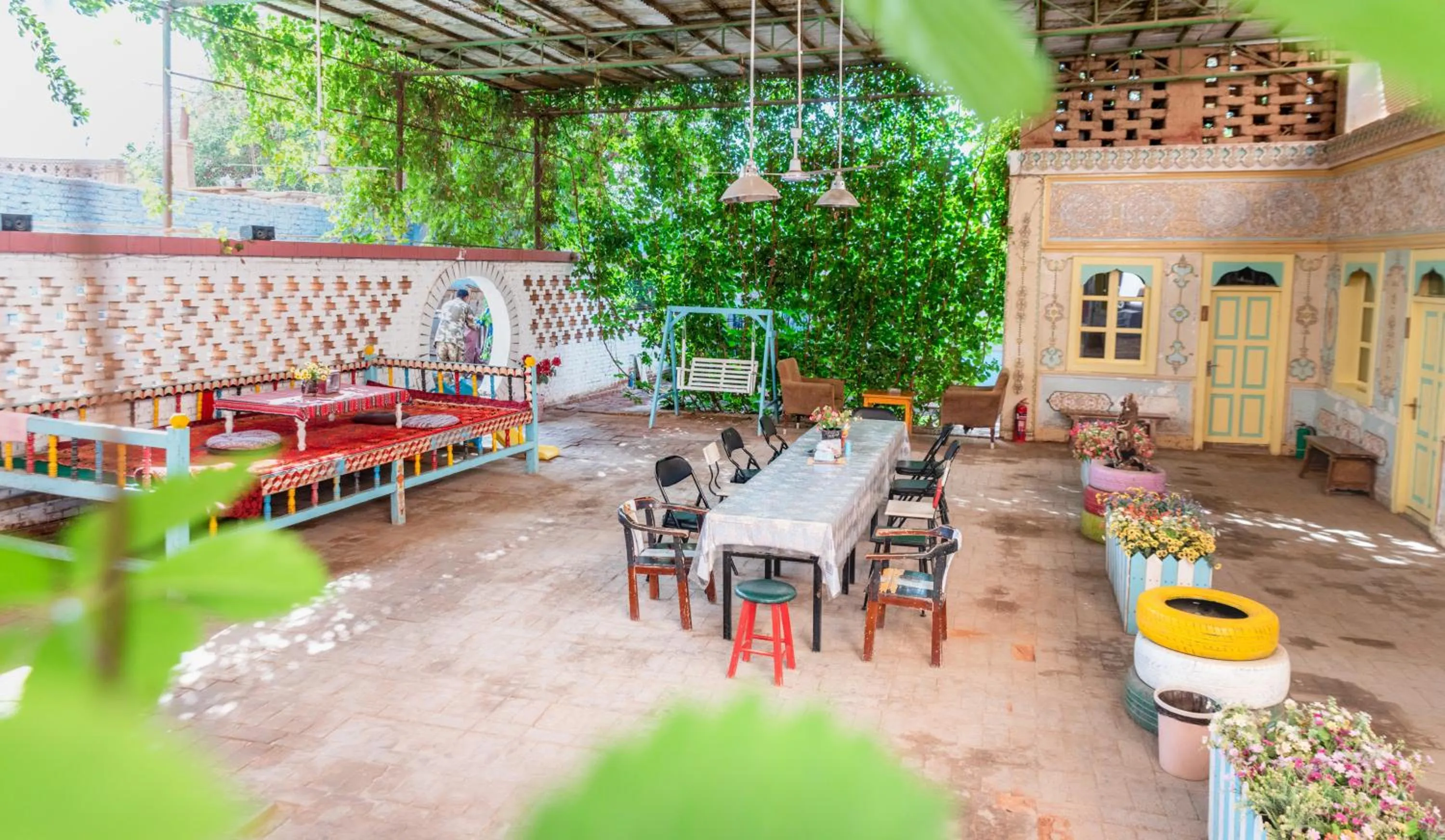 Garden in New Dap Hostel (in Grape Town)