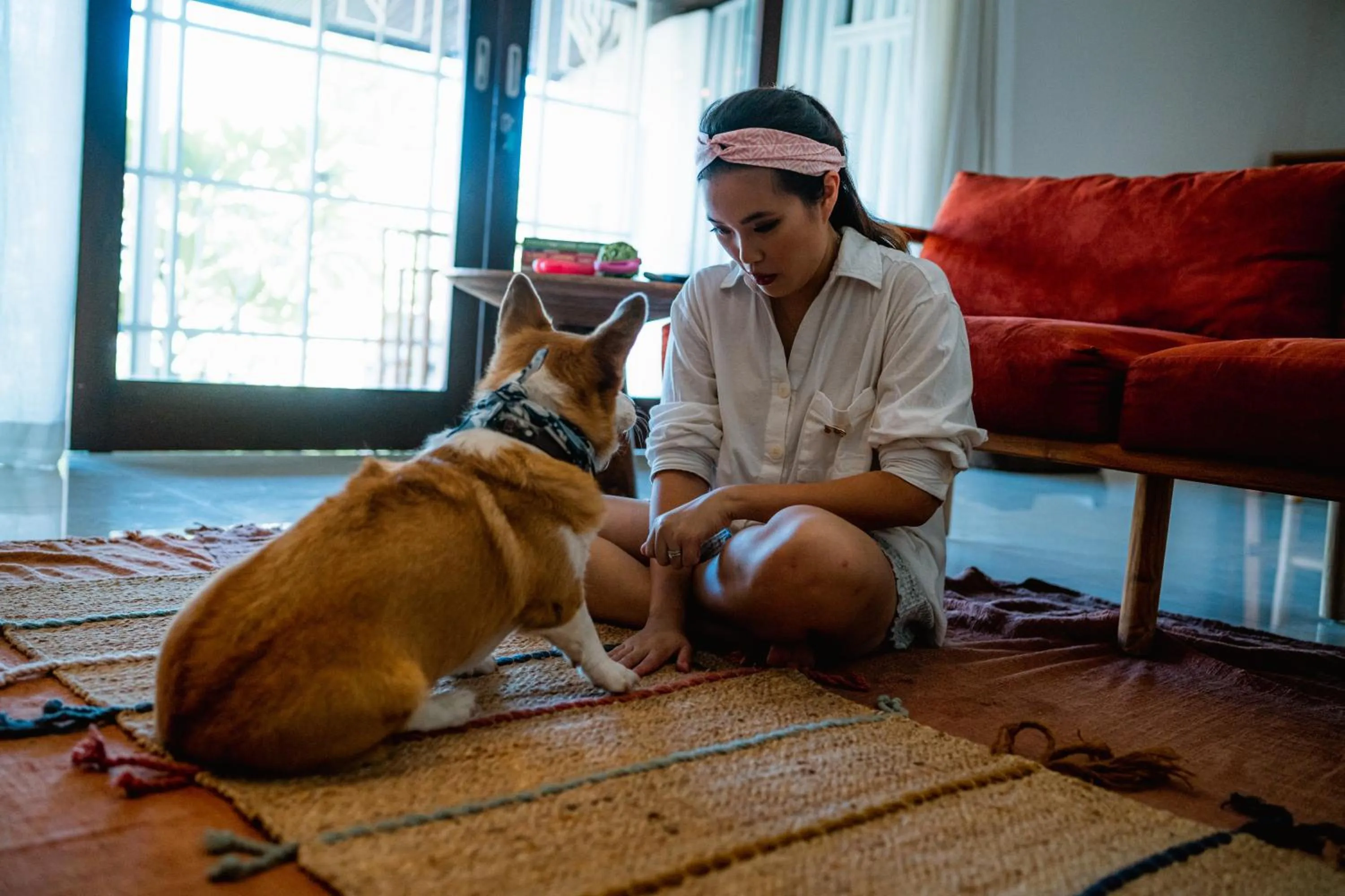 Pets in Pelangi 148 Beach Suites