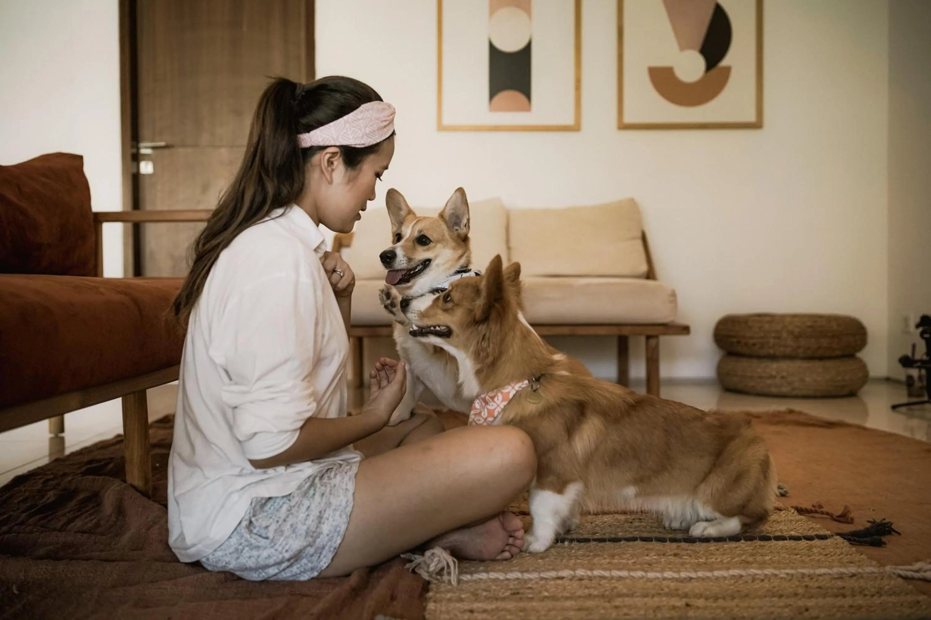 Pets in Pelangi 148 Beach Suites