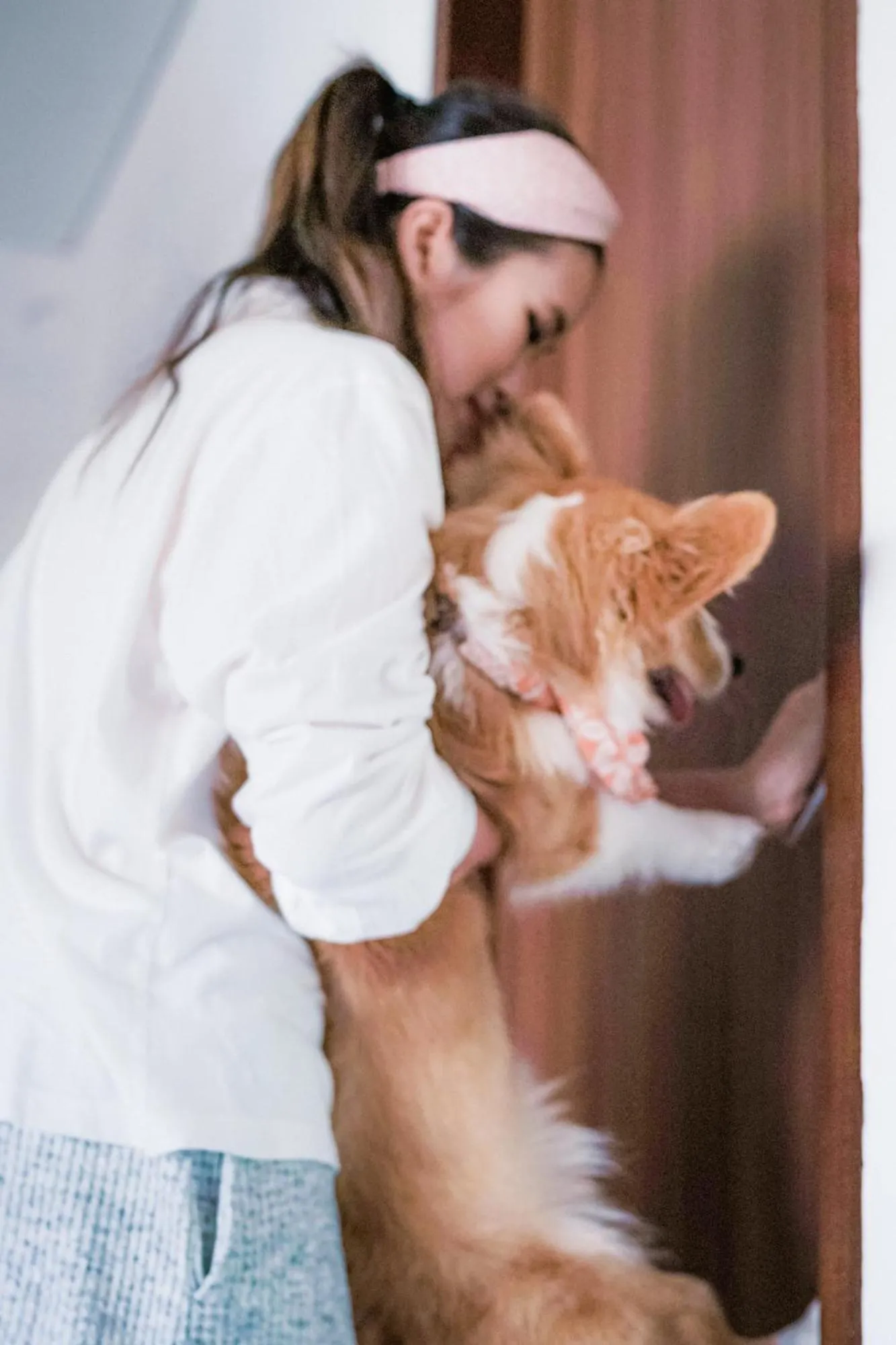 Pets in Pelangi 148 Beach Suites