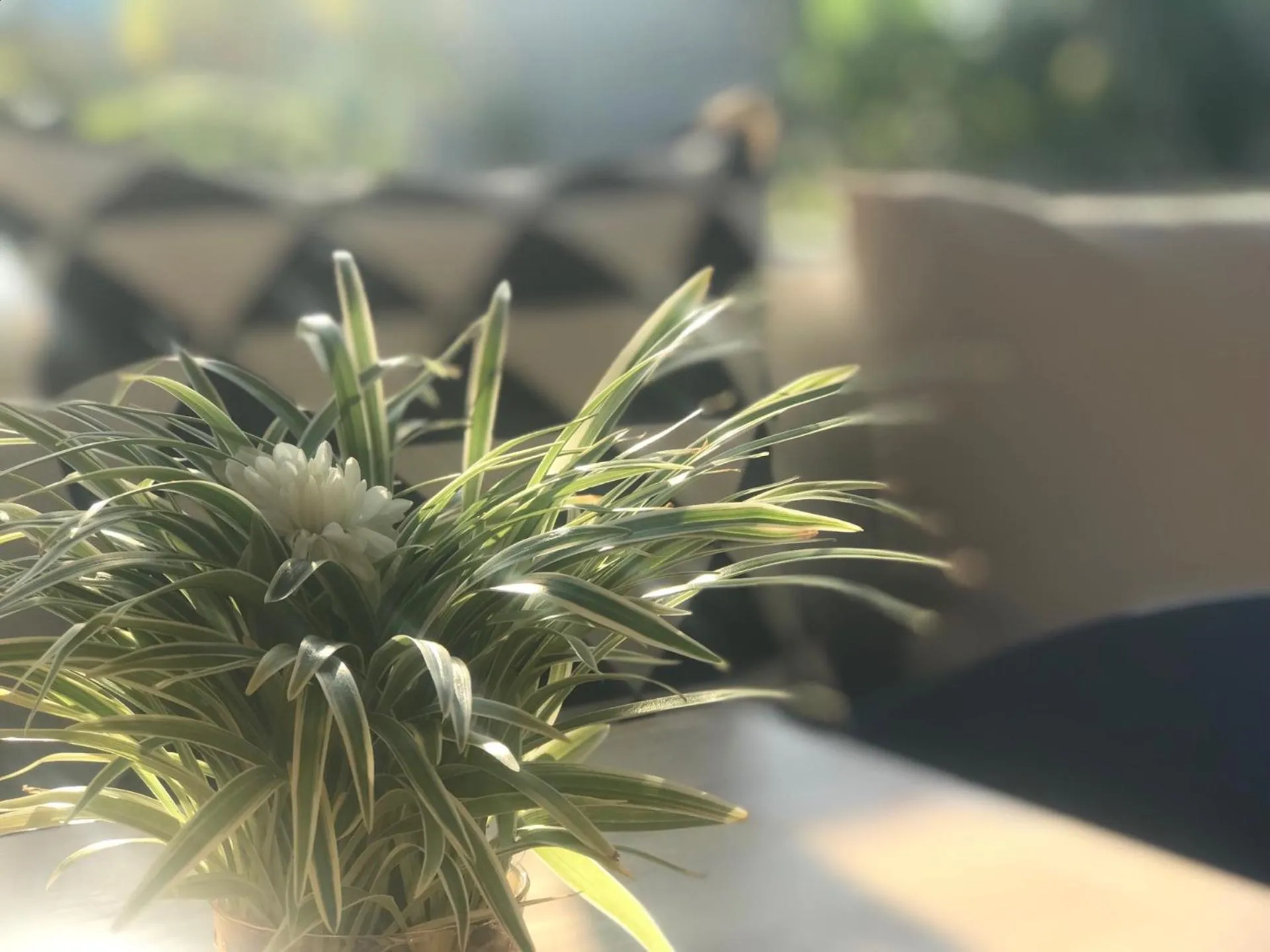 Breakfast in Aonang Eco Villa