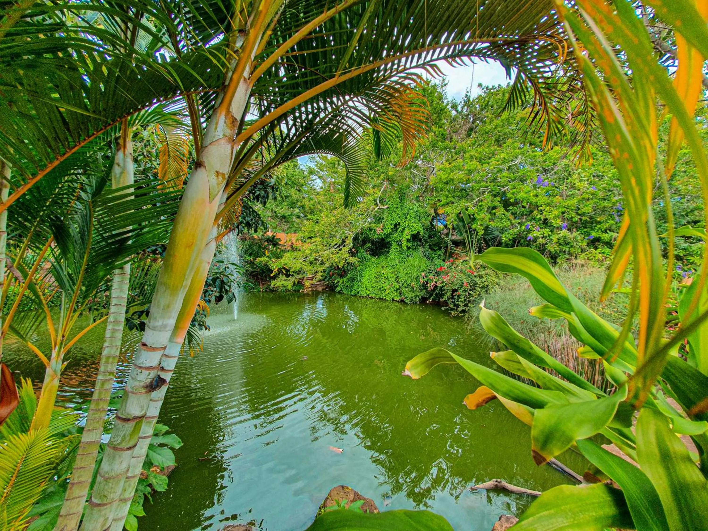 Lake view in Hotel Terra Barichara