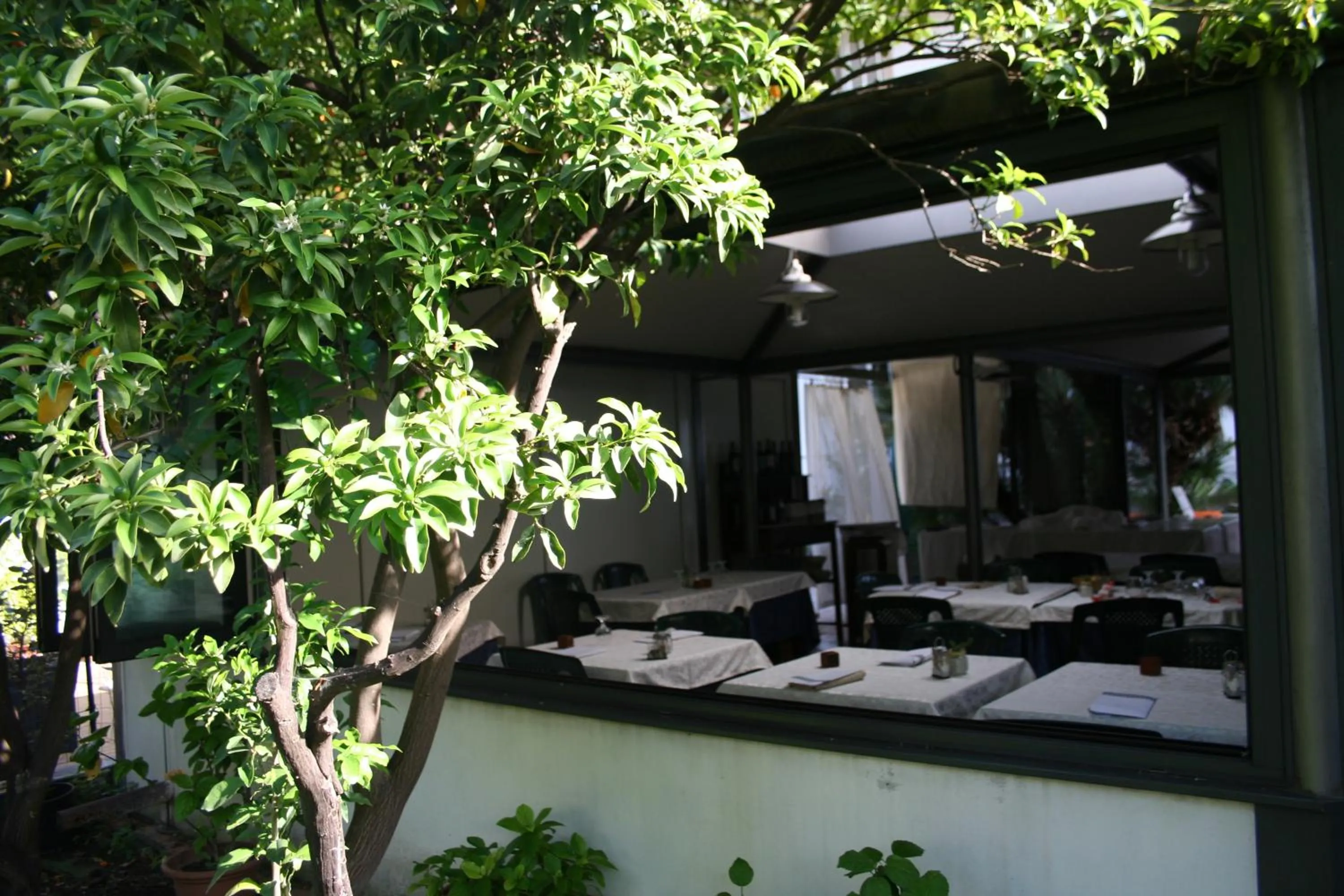 Spring in Hotel Rosalia