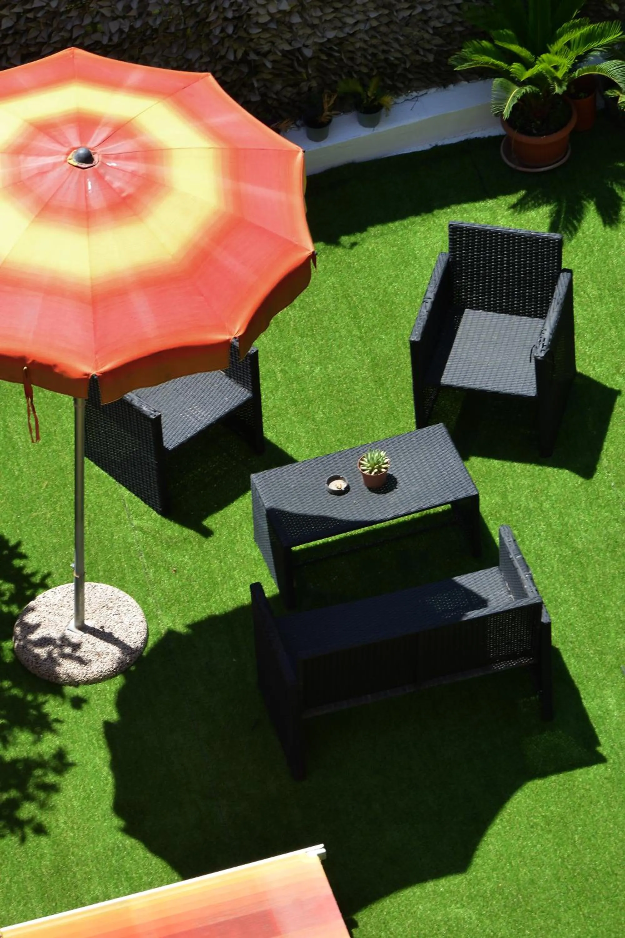 Area and facilities in Hotel Rosalia