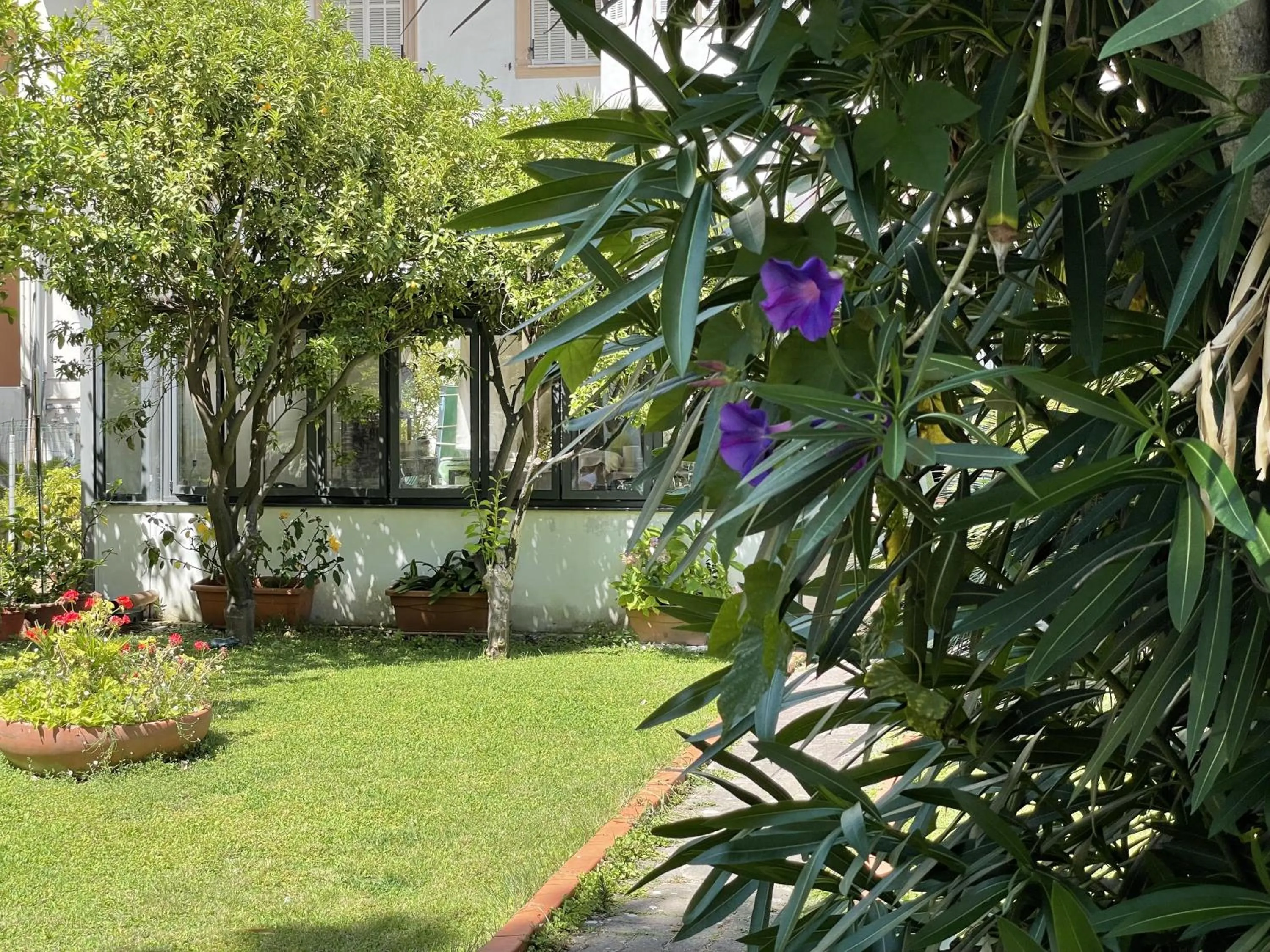 Garden view in Hotel Rosalia