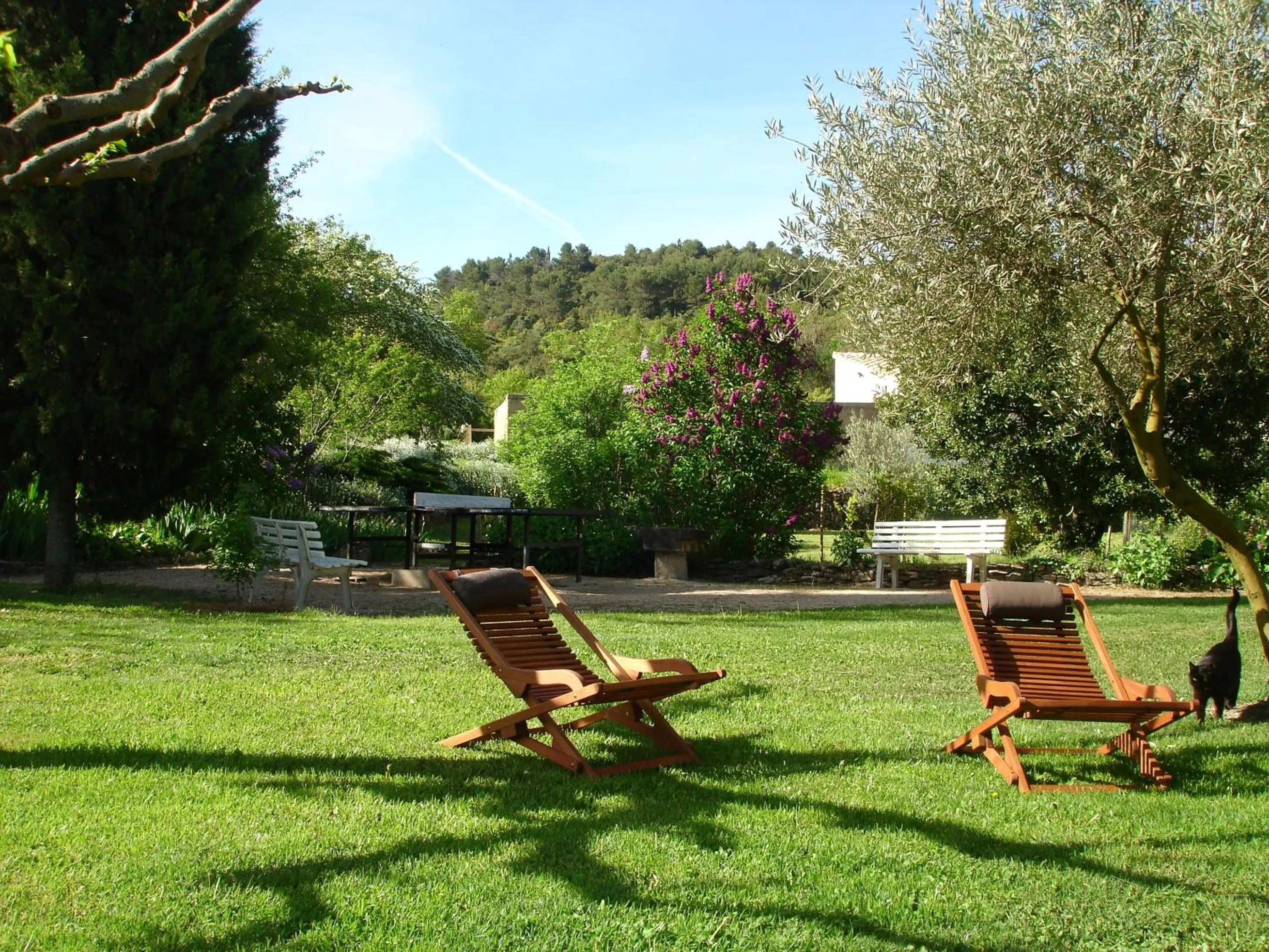 Garden in Domaine De La Grange Neuve
