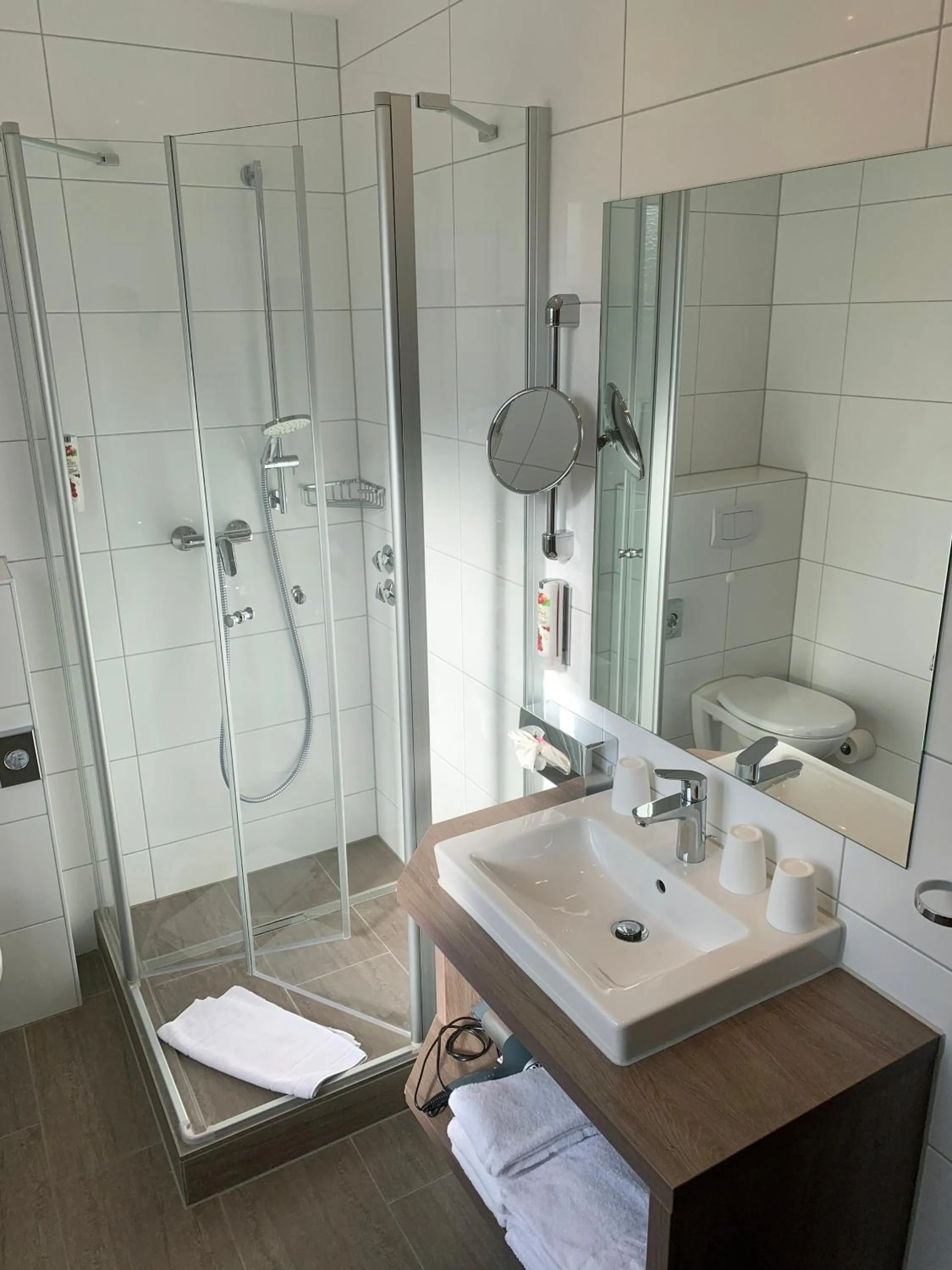 Toilet in Hotel Felsenkeller