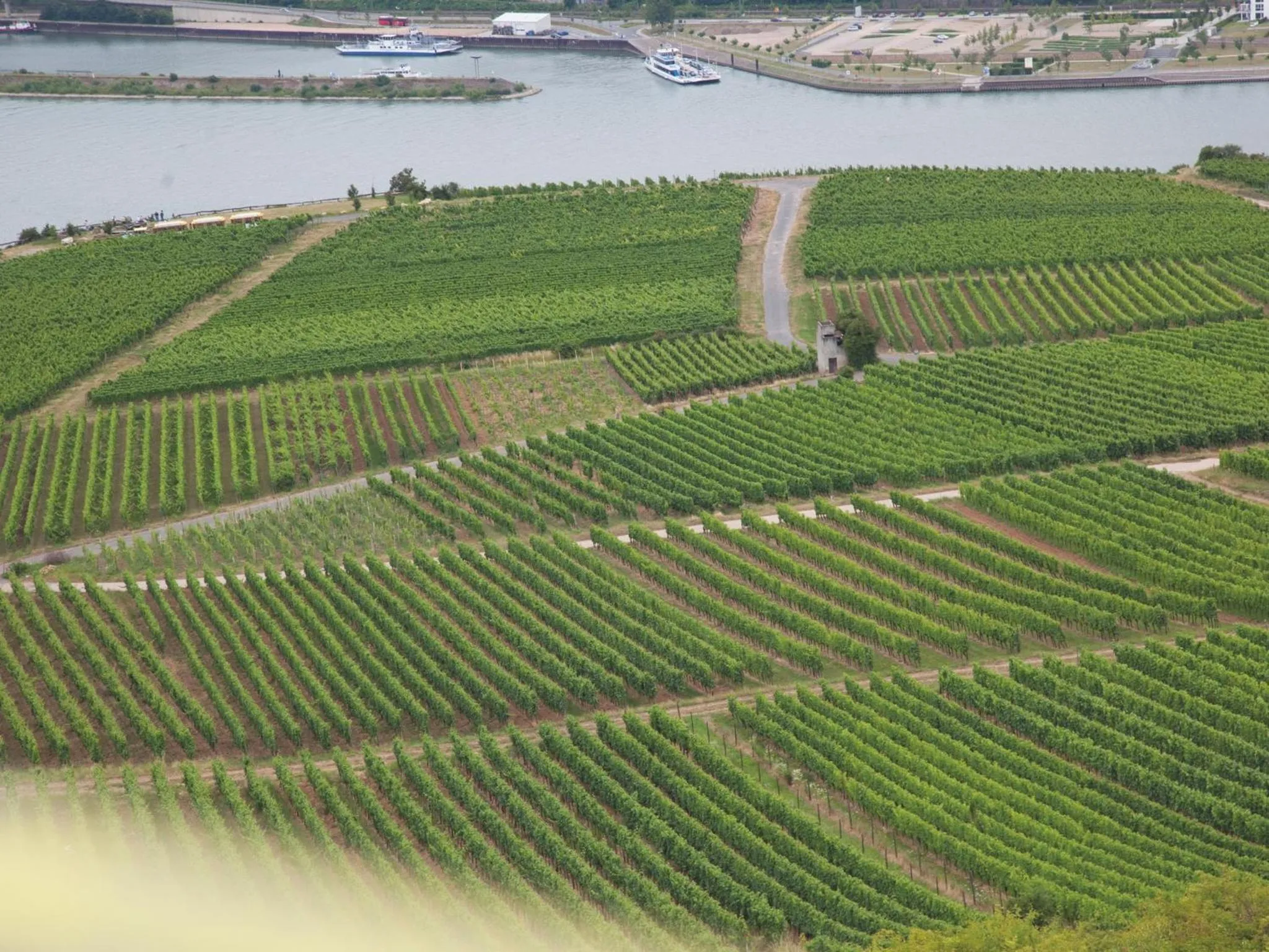 Area and facilities in Hotel Felsenkeller