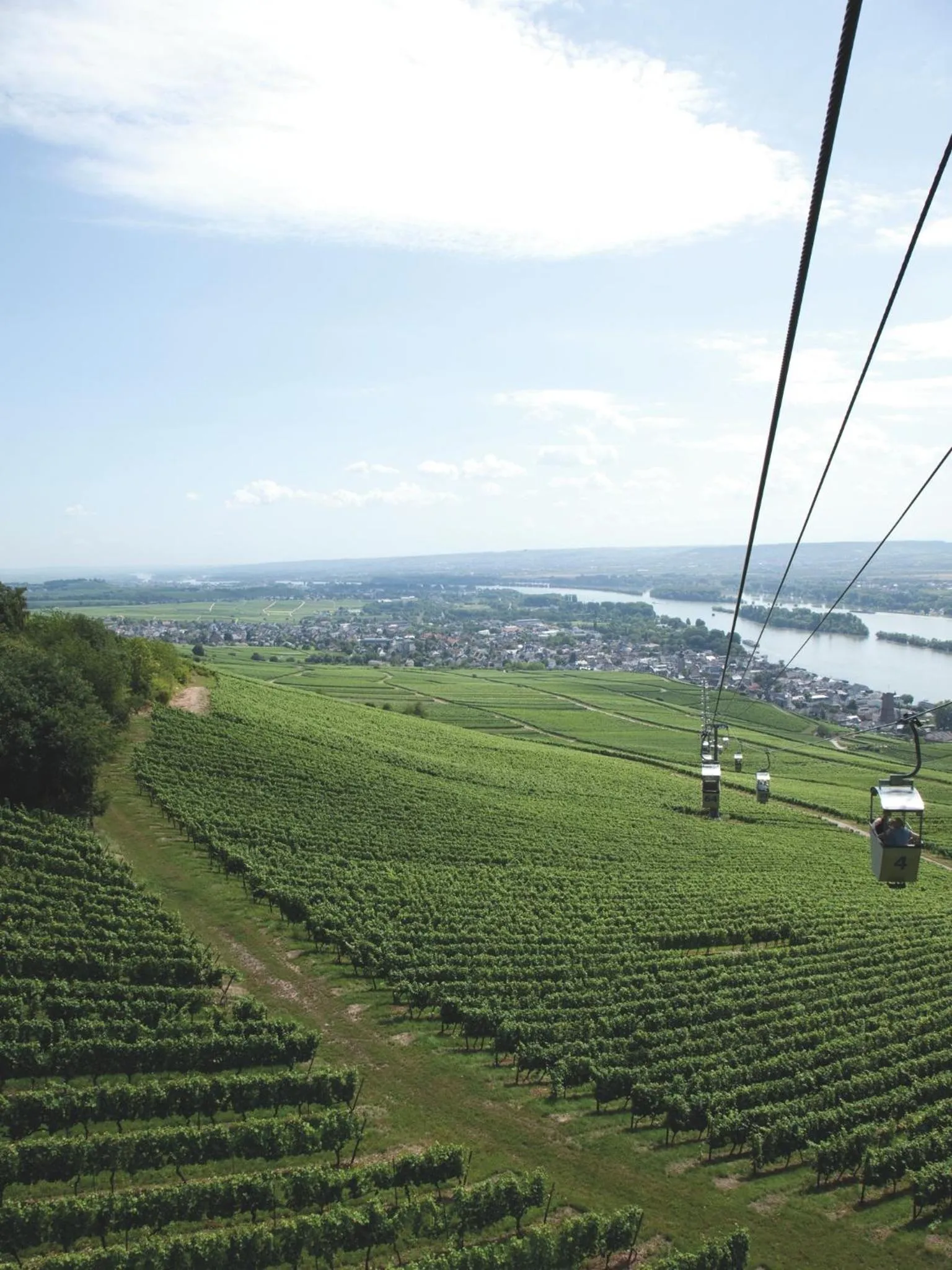 Area and facilities in Hotel Felsenkeller
