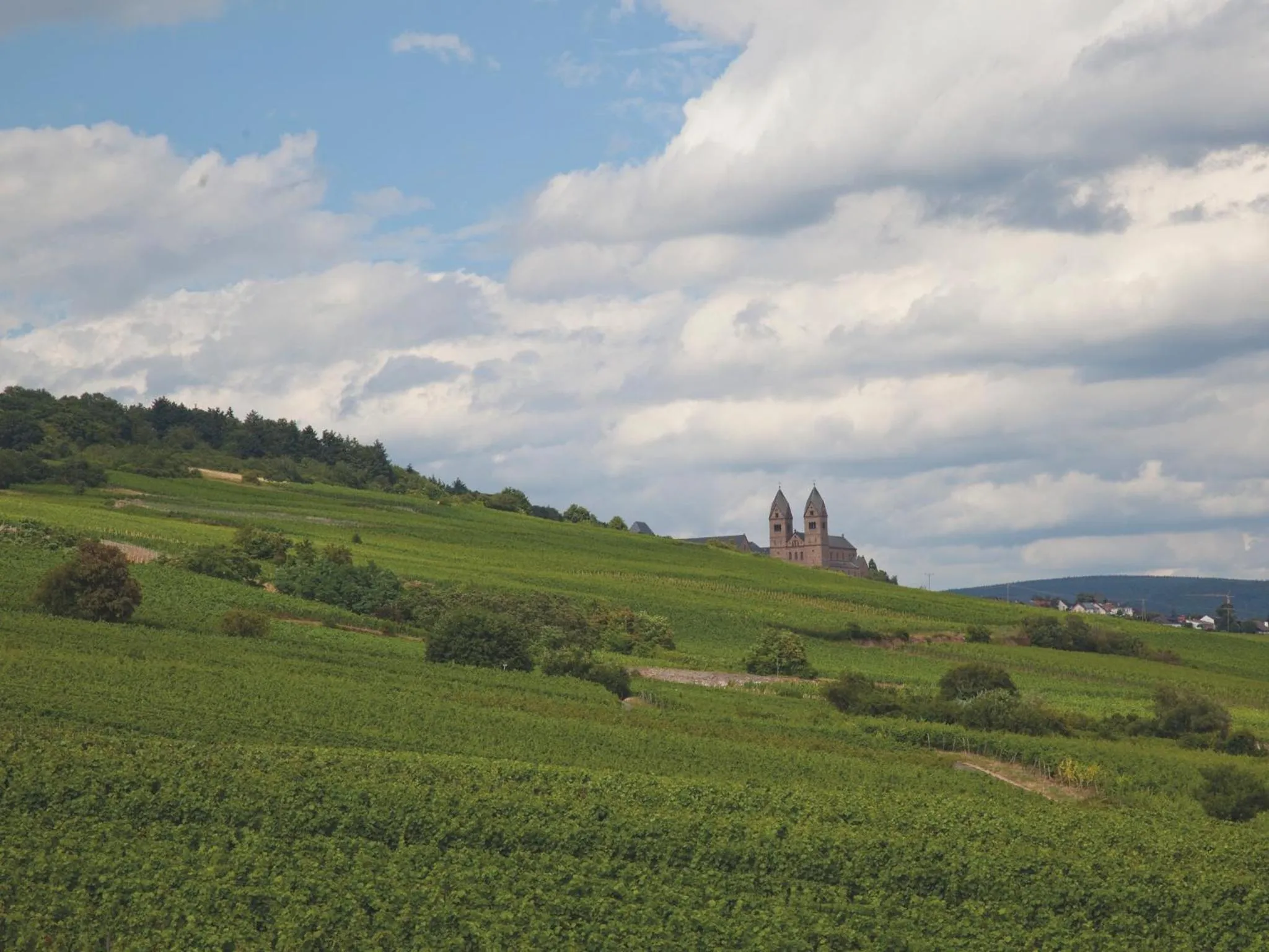 Area and facilities in Hotel Felsenkeller
