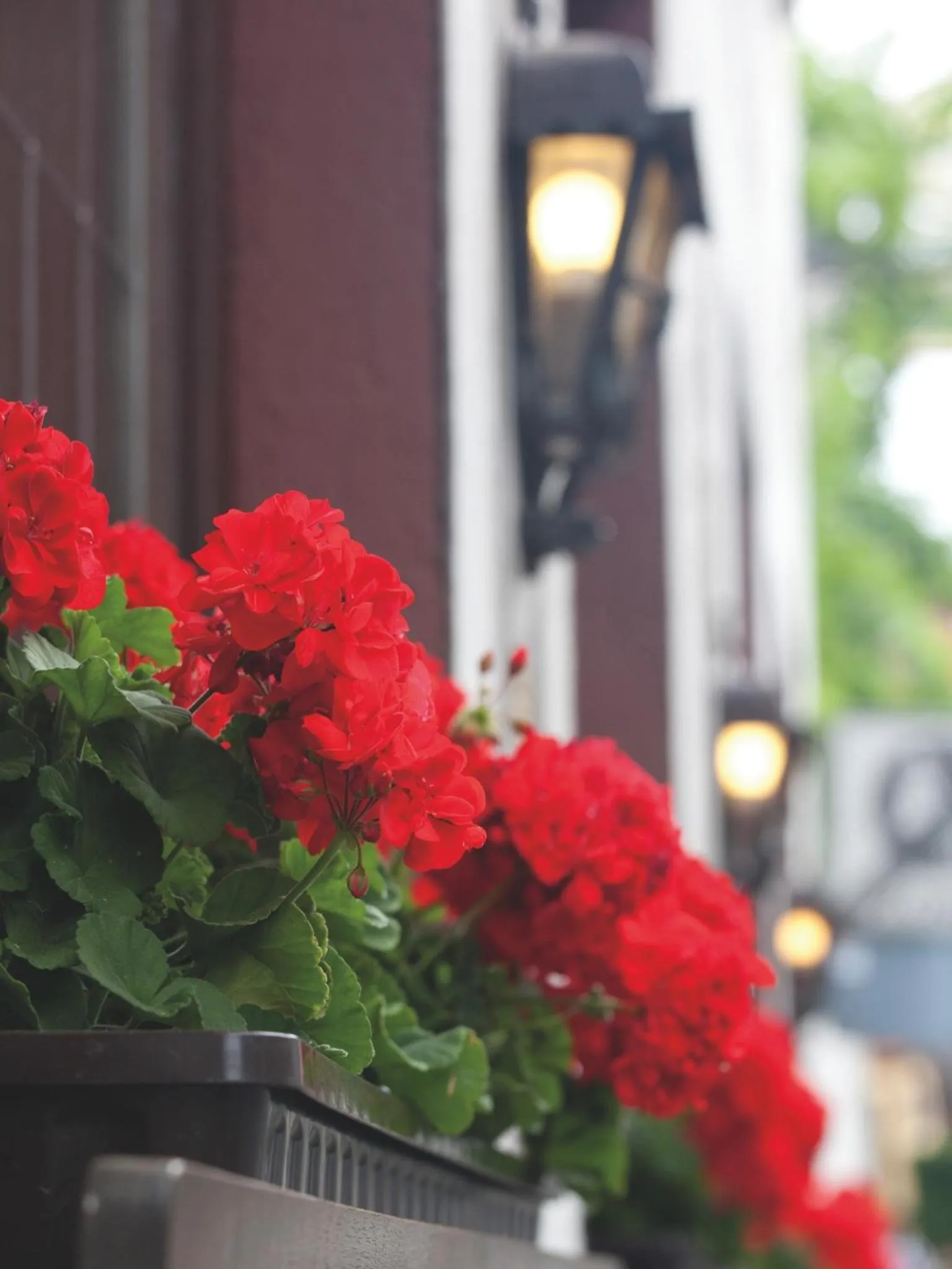 Balcony/Terrace in Hotel Felsenkeller