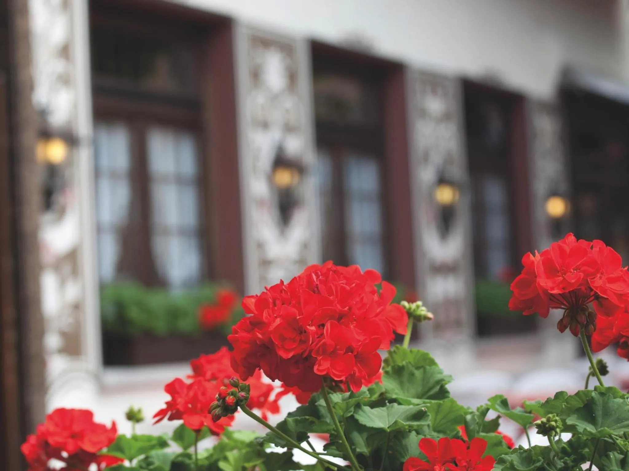 Balcony/Terrace in Hotel Felsenkeller