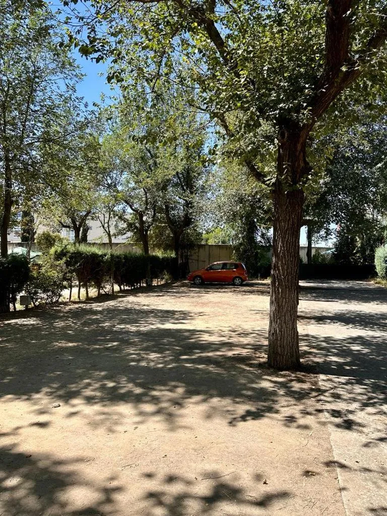 Day in Bungalows Alpha